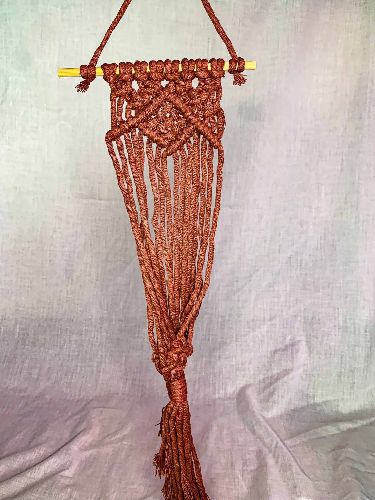 Macrame Air Plant Hanger