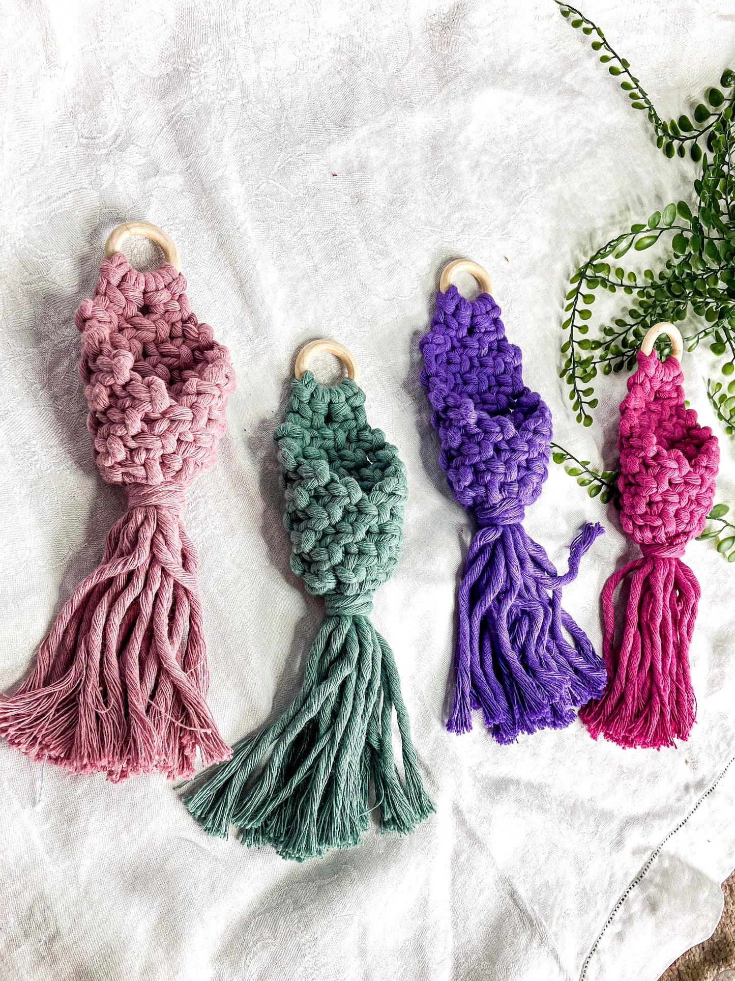Air Plant Hanger Pod (Clearance)