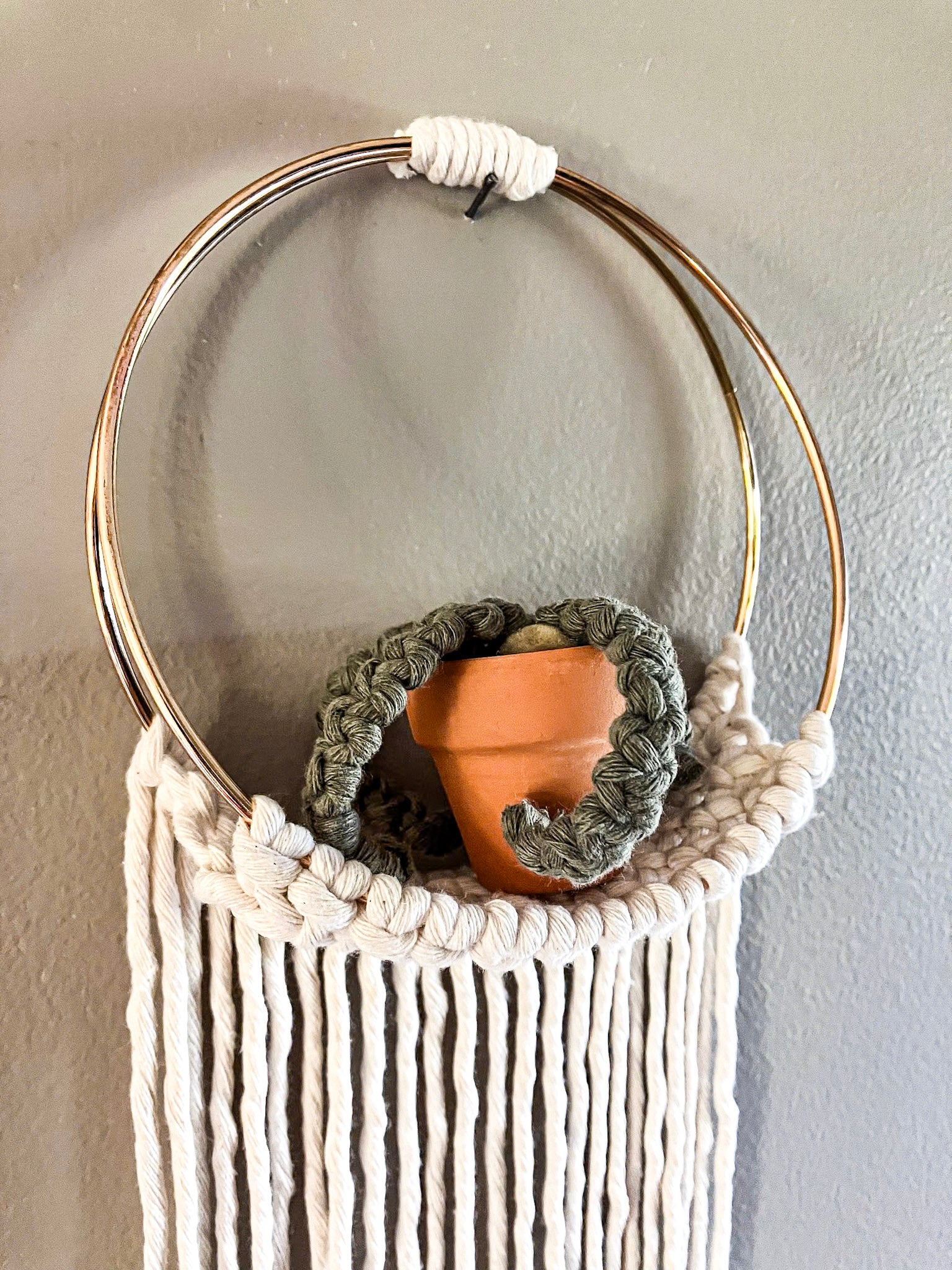 air plant hanging basket Air Plant Hanger