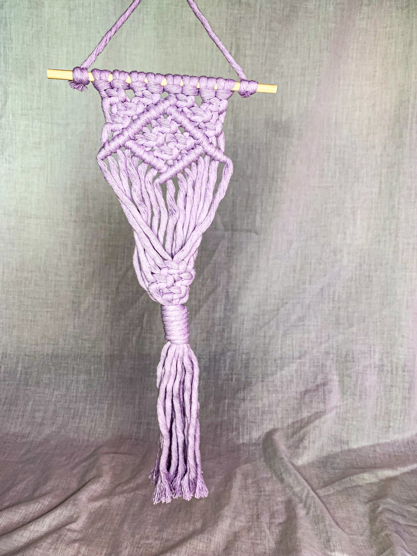 Macrame Air Plant Hanger