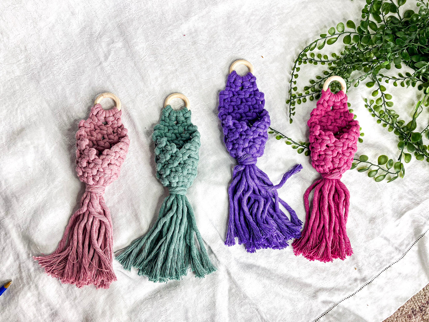 Air Plant Hanger Pod (Clearance)