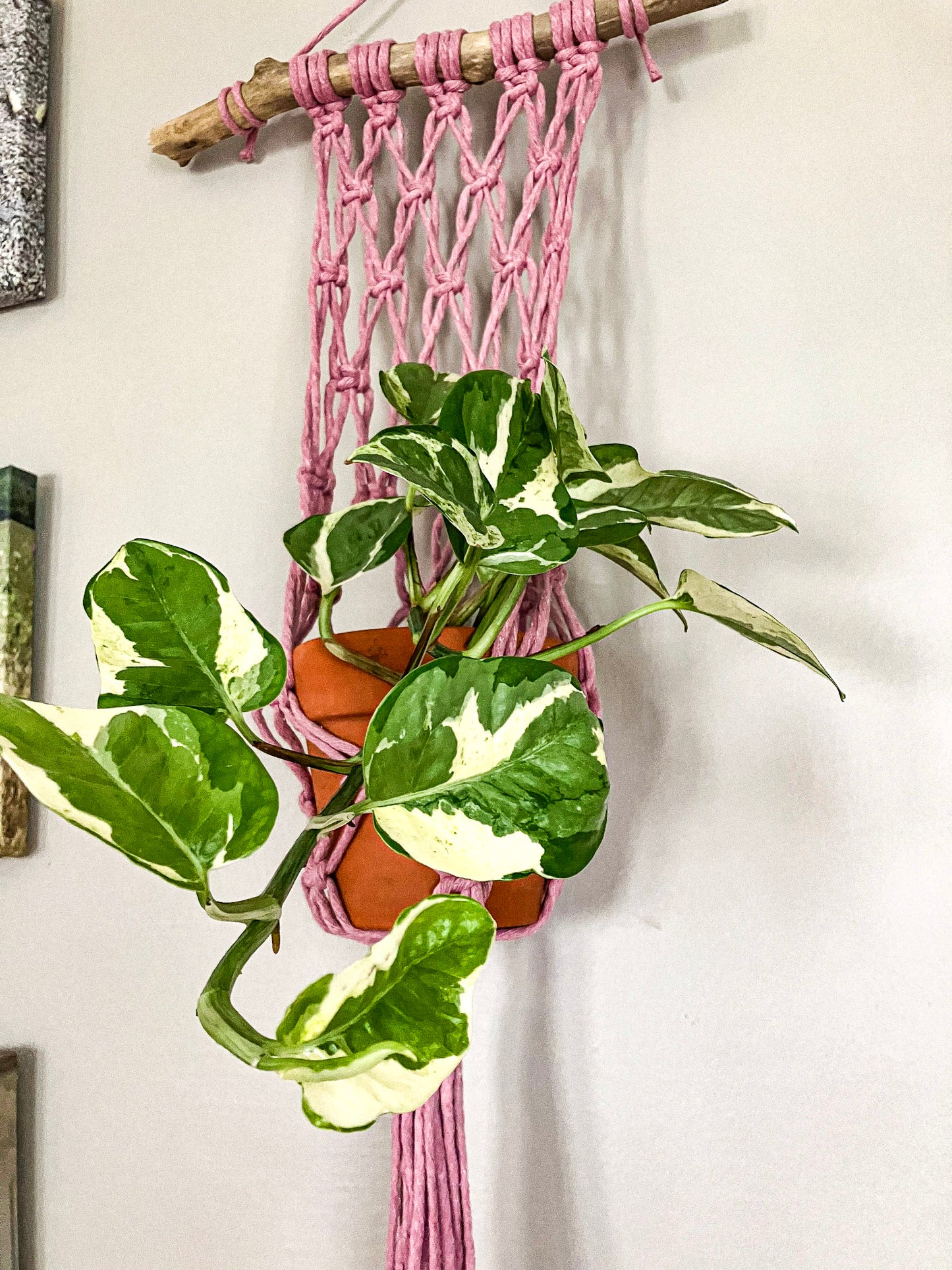 Macrame Plant Hanger for Wall