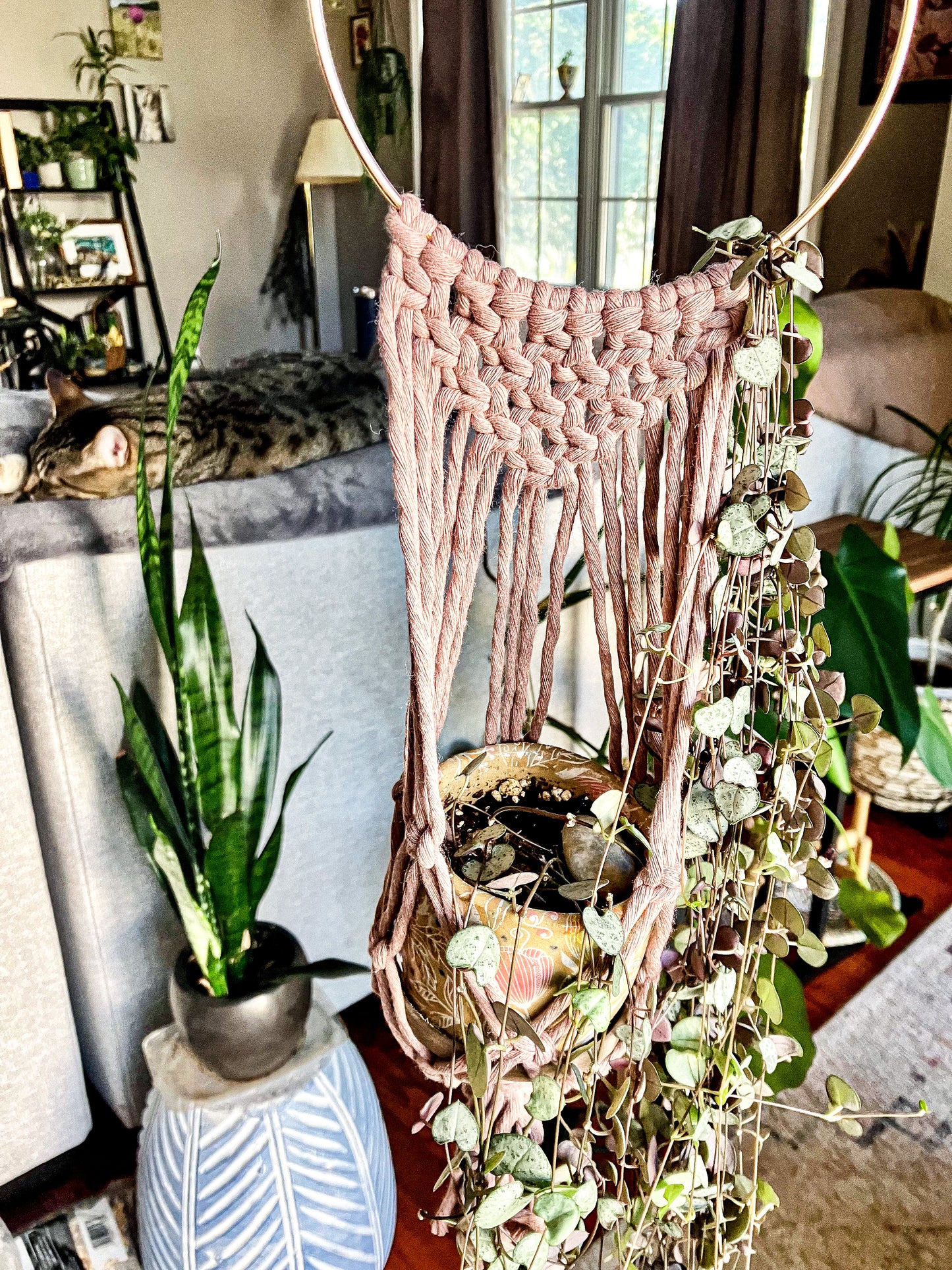 Macrame Plant Hanger Class at The Meadow