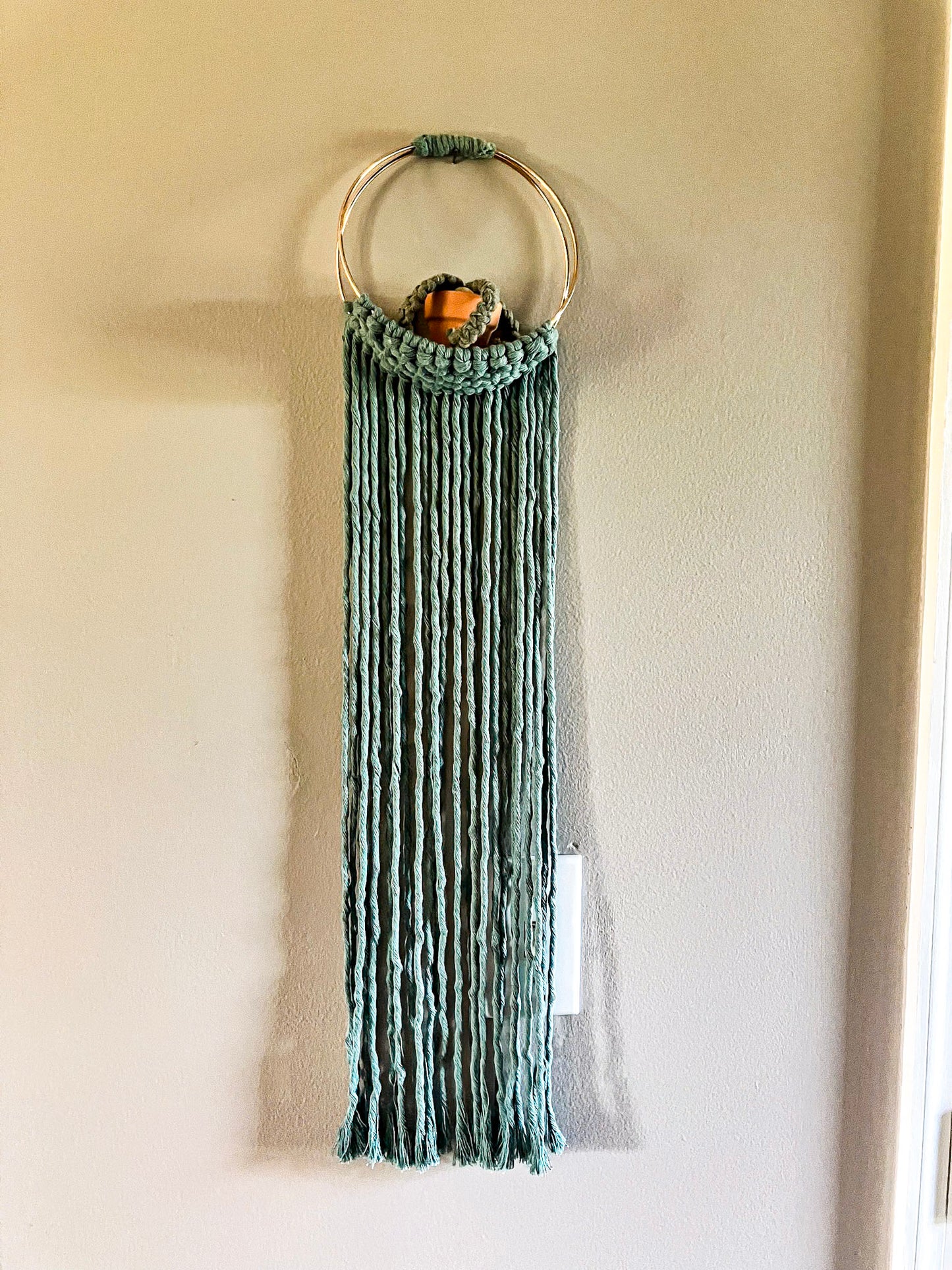 Air Plant Hanger | Two Colors Available