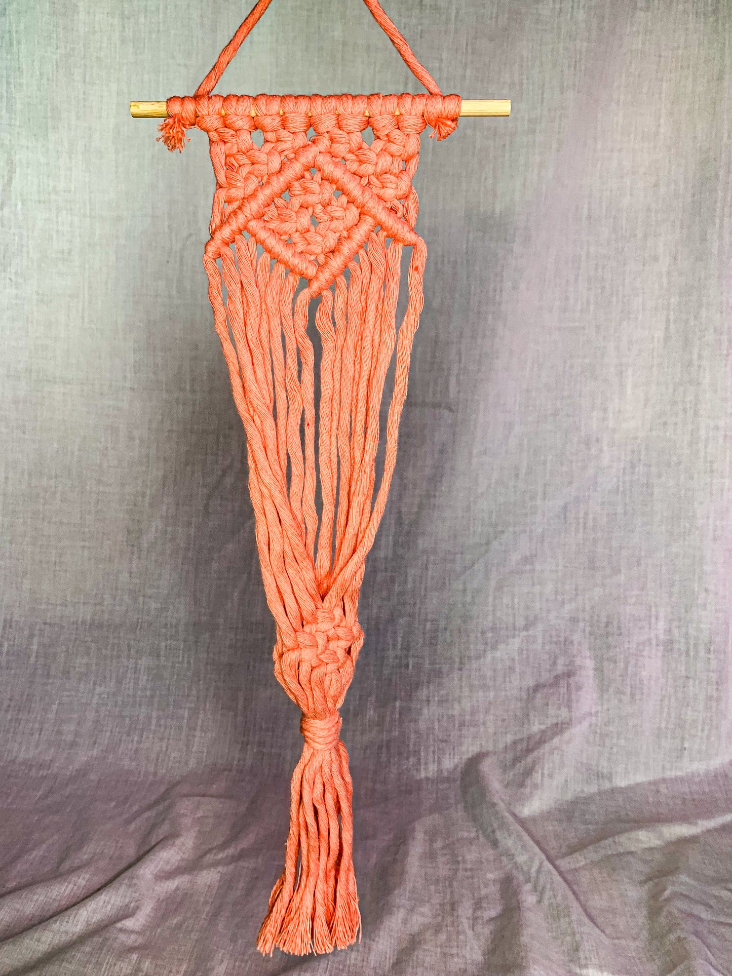 Macrame Air Plant Hanger