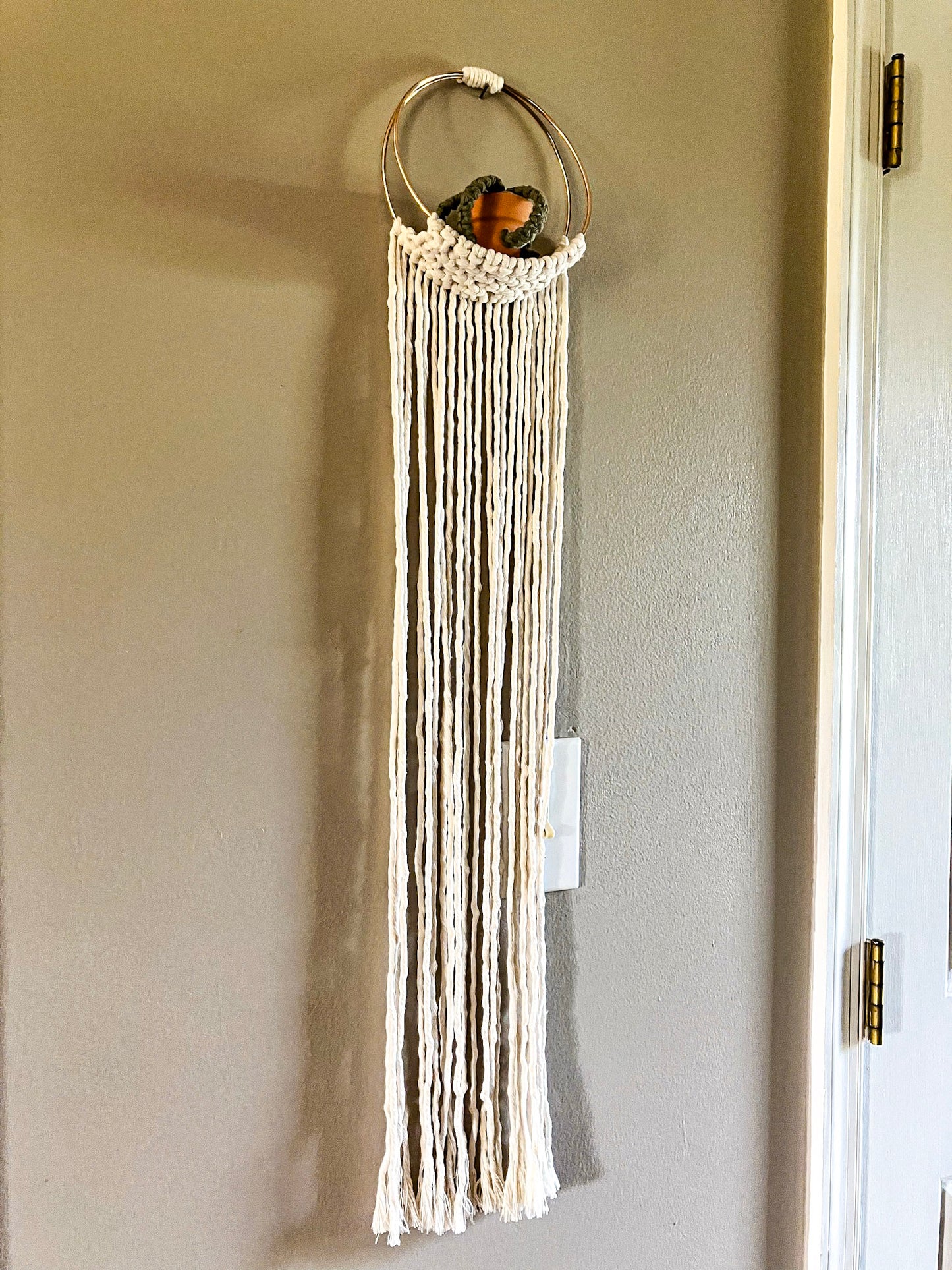 Air Plant Hanger | Two Colors Available