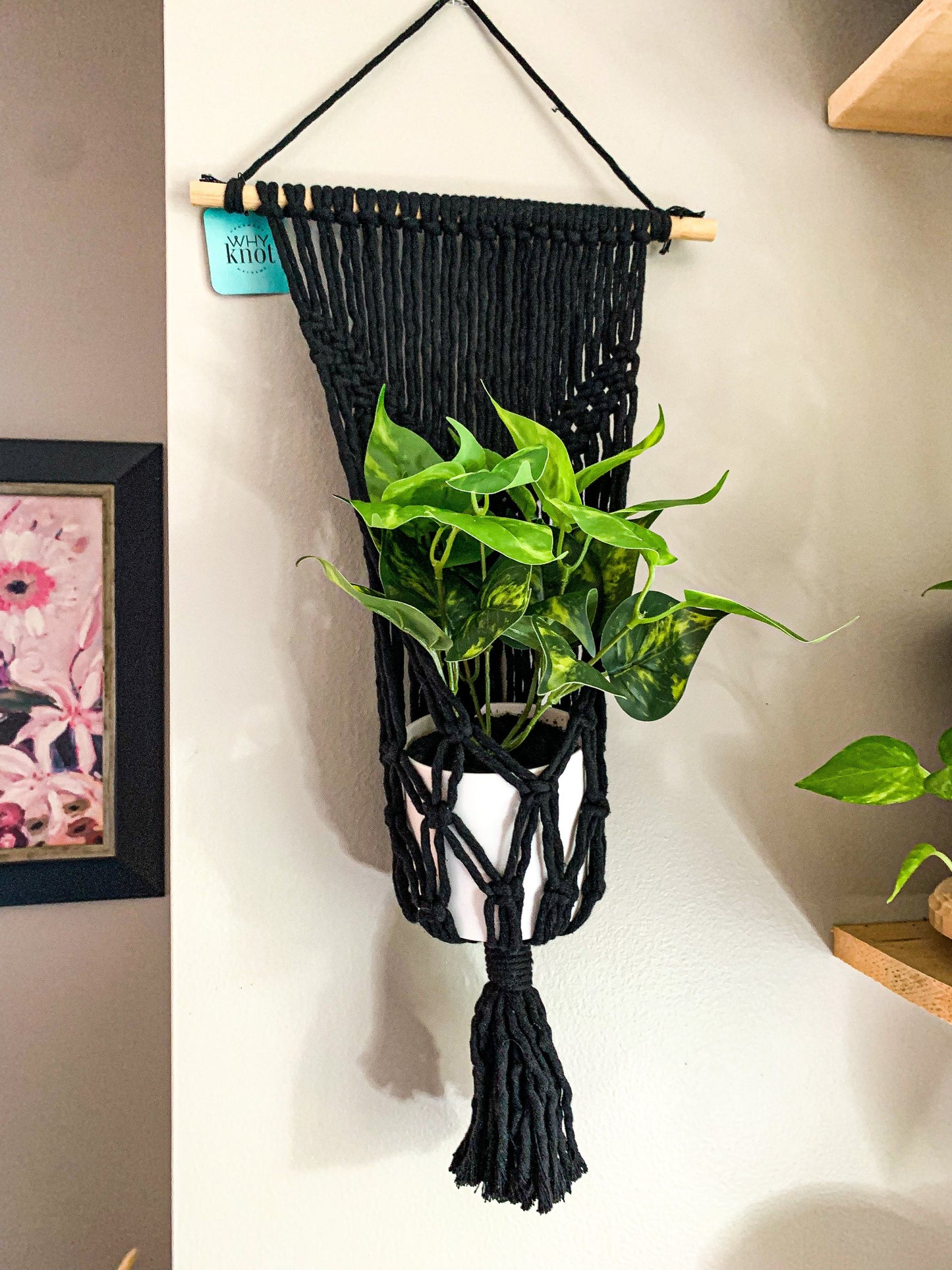 Plant Hanger for Wall