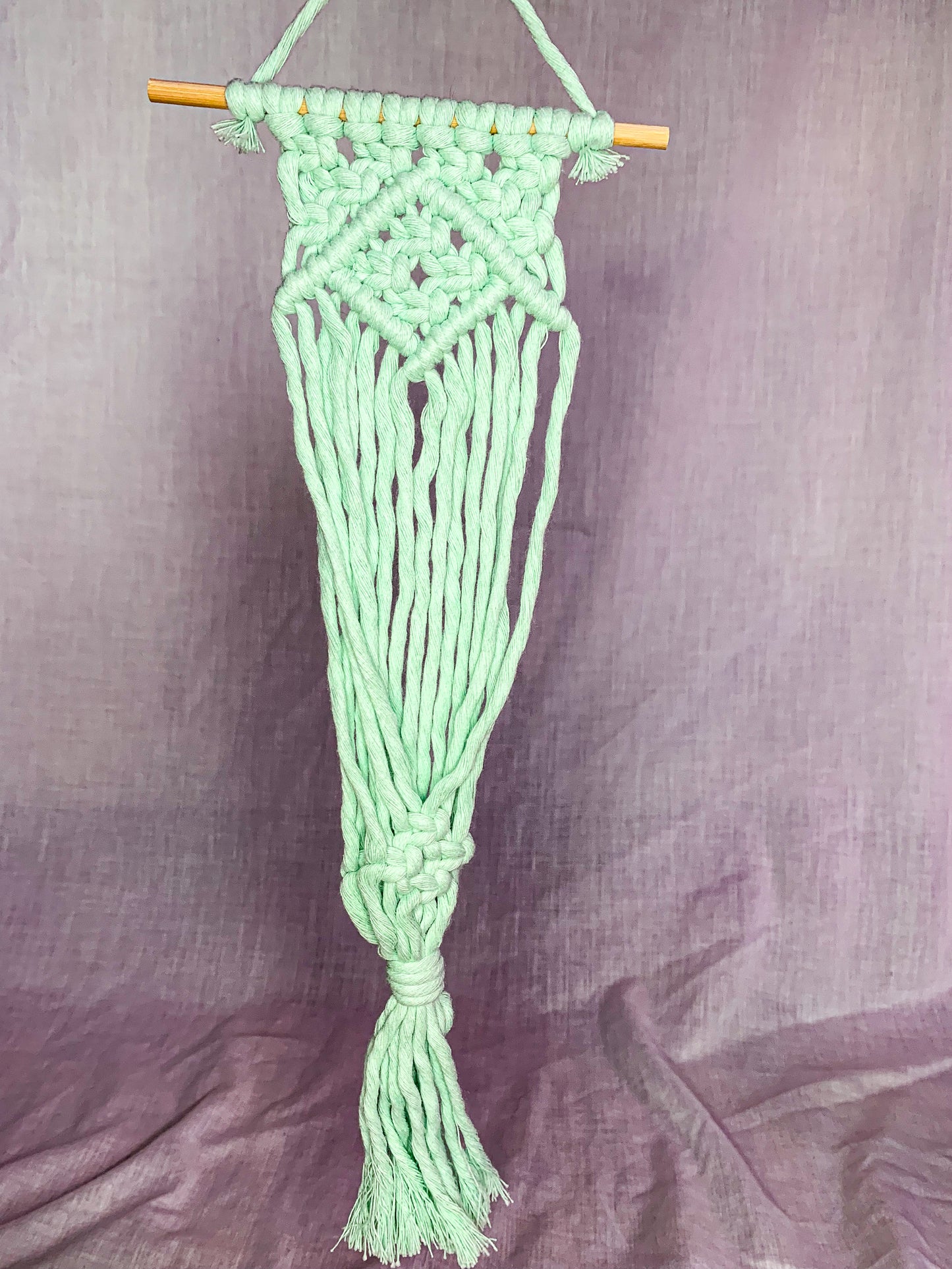 Macrame Air Plant Hanger