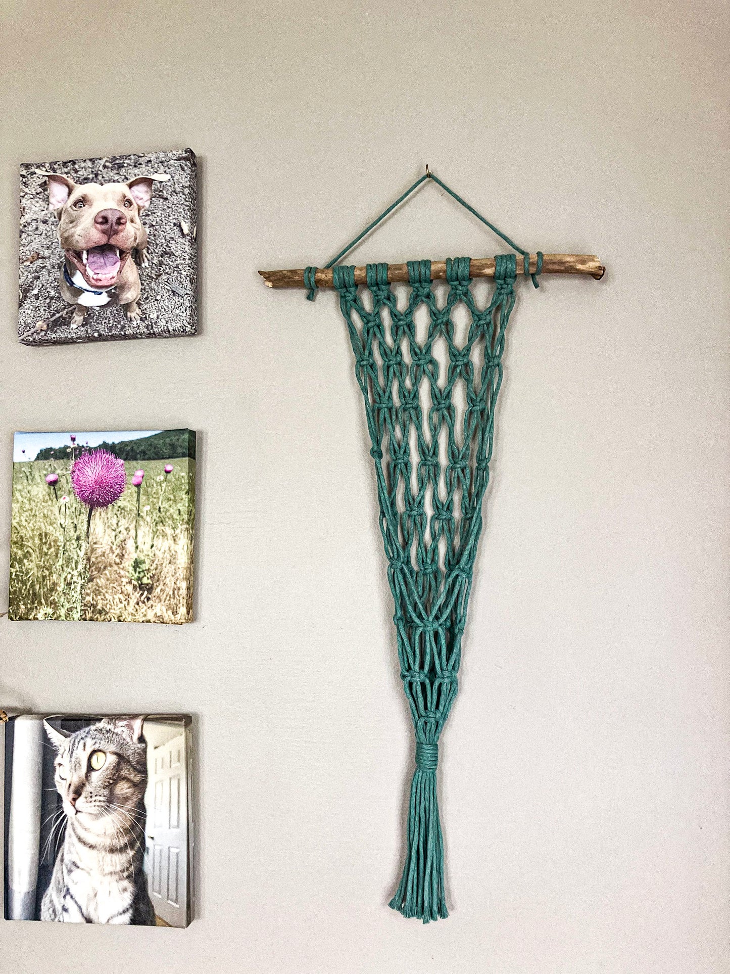 Macrame Plant Hanger for Wall