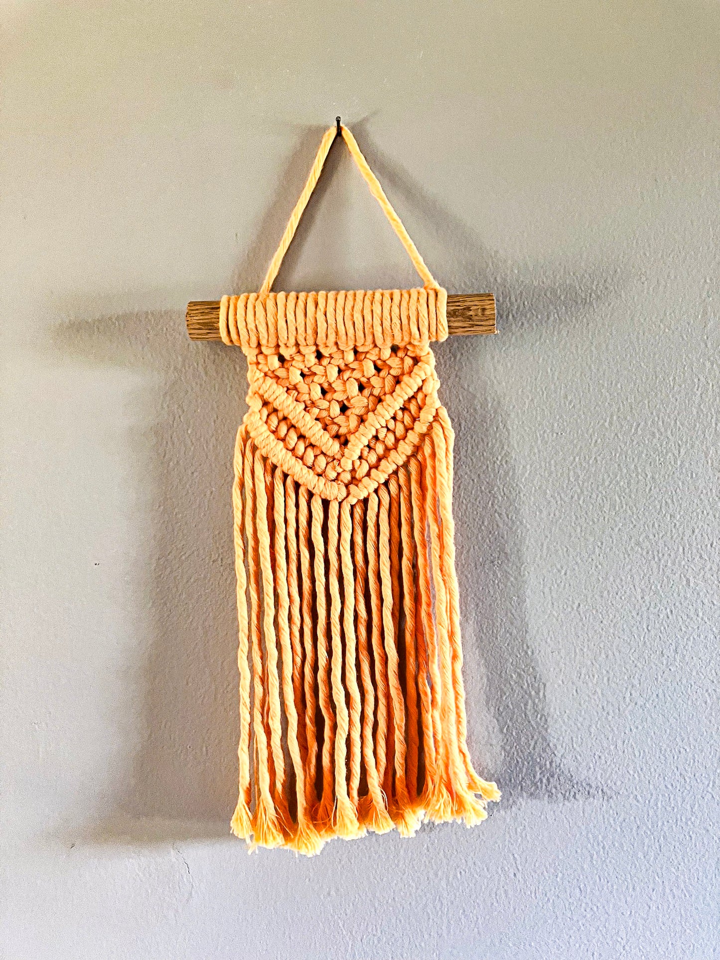 Mini Macrame Wall Hanging