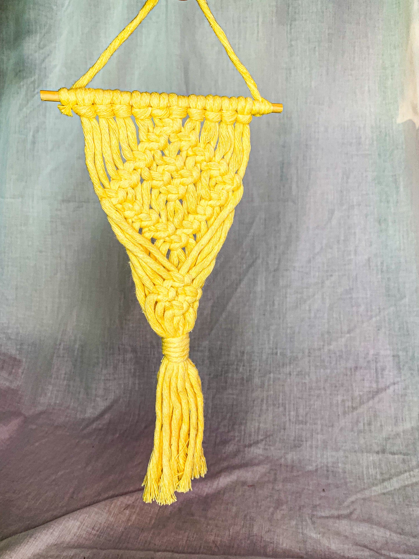 Macrame Indoor Air Plant Hanger
