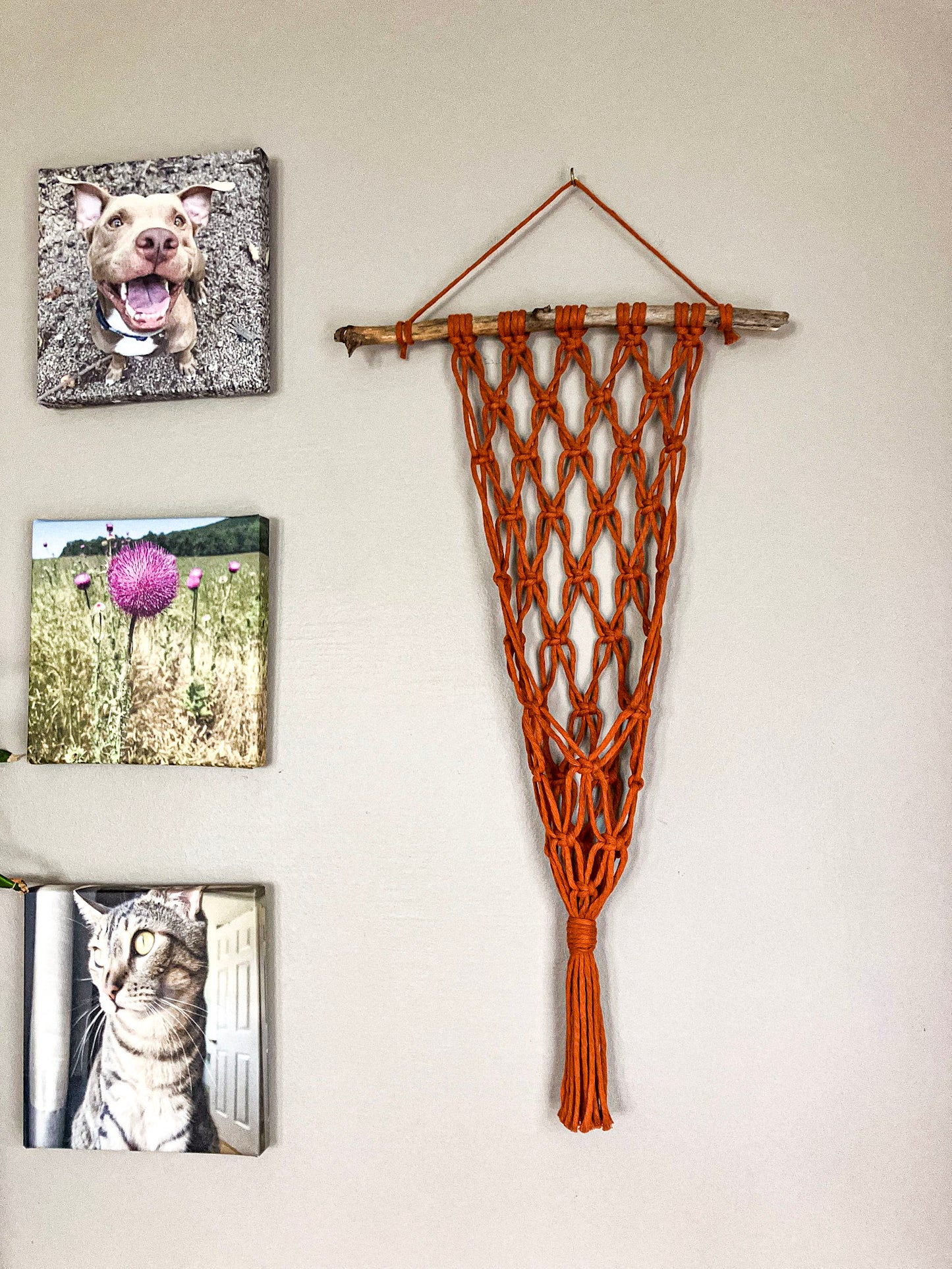 Macrame Plant Hanger for Wall