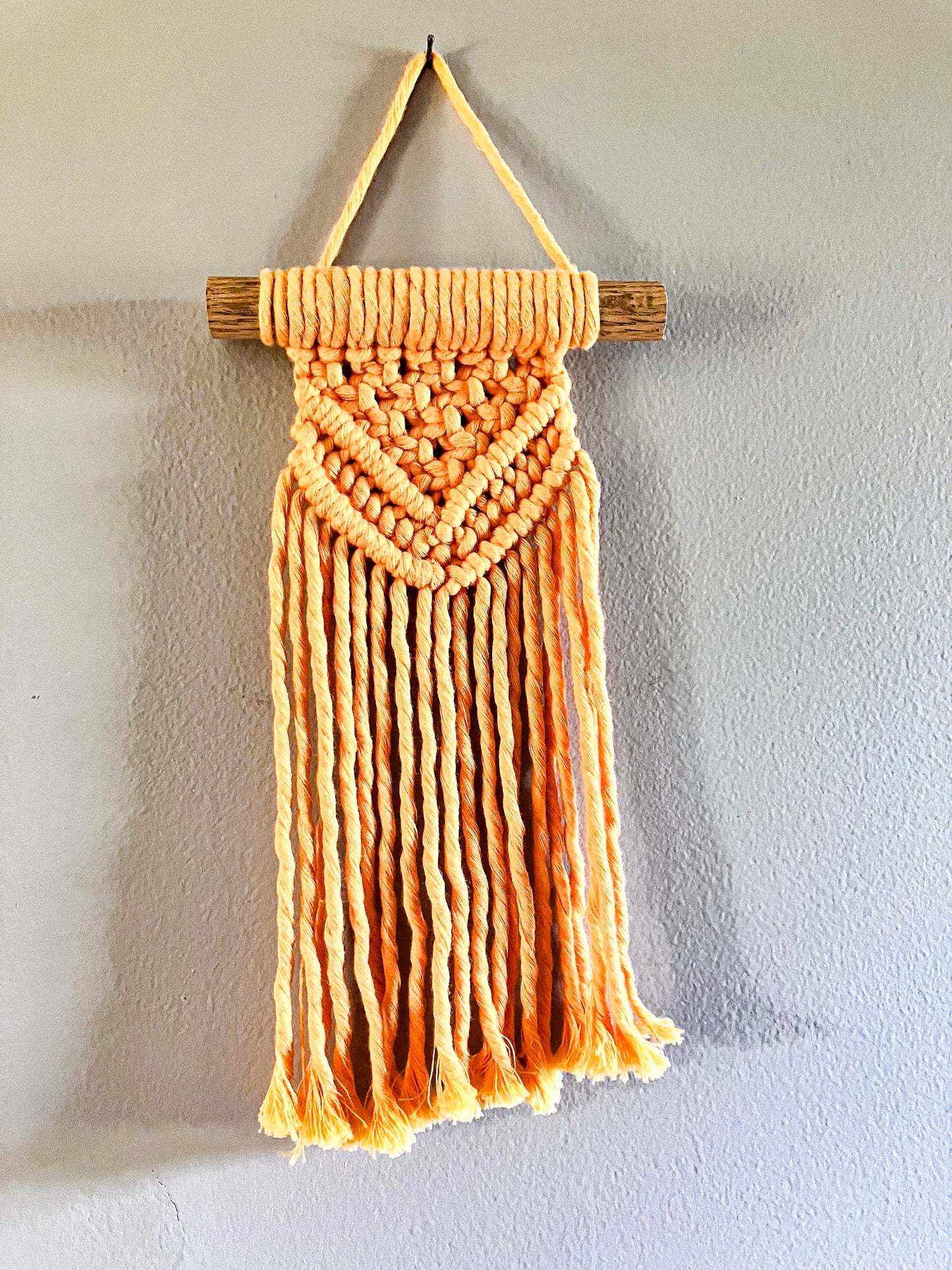 Mini Macrame Wall Hanging