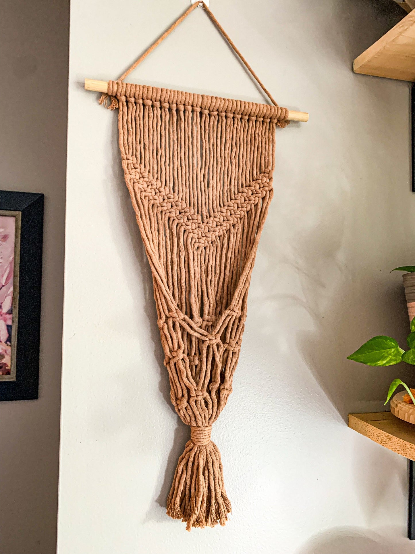 Plant Hanger for Wall