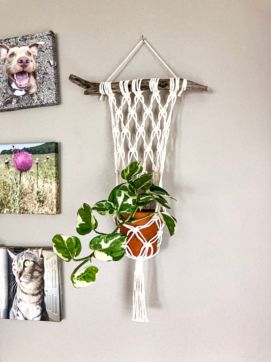 Macrame Plant Hanger for Wall