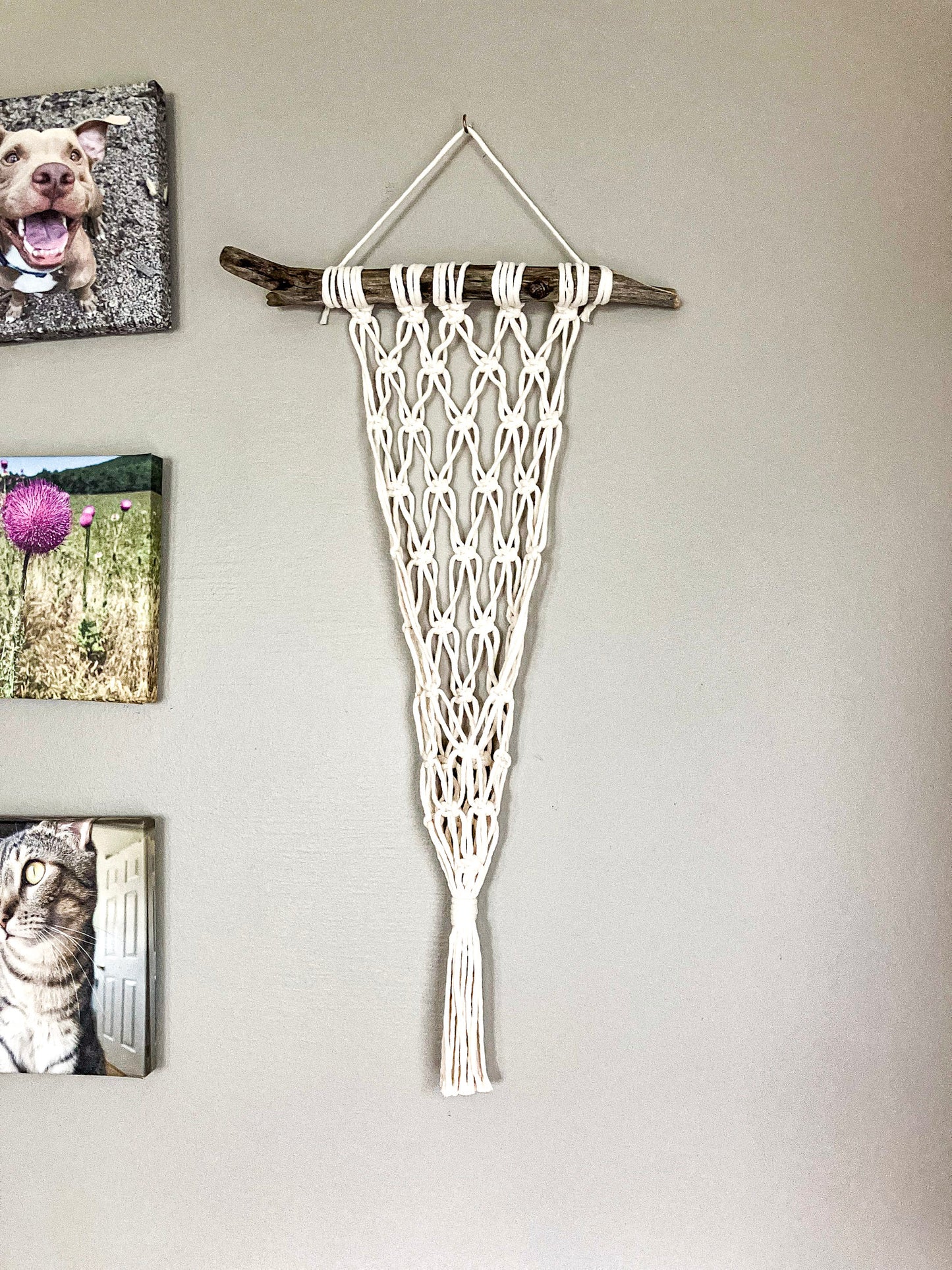 Macrame Plant Hanger for Wall
