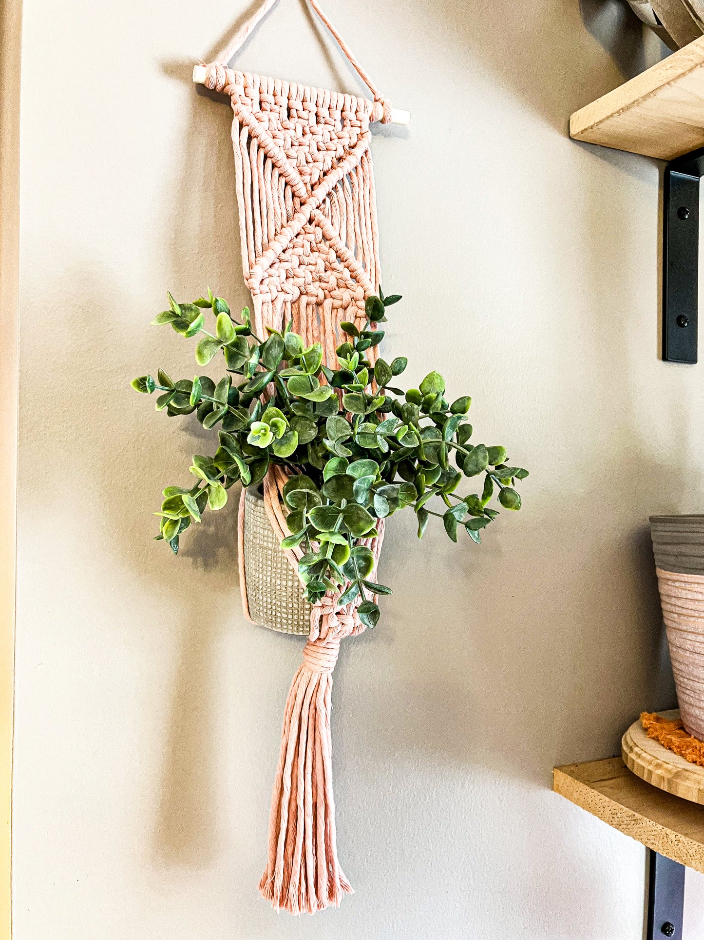 Macrame Wall Plant Hanger