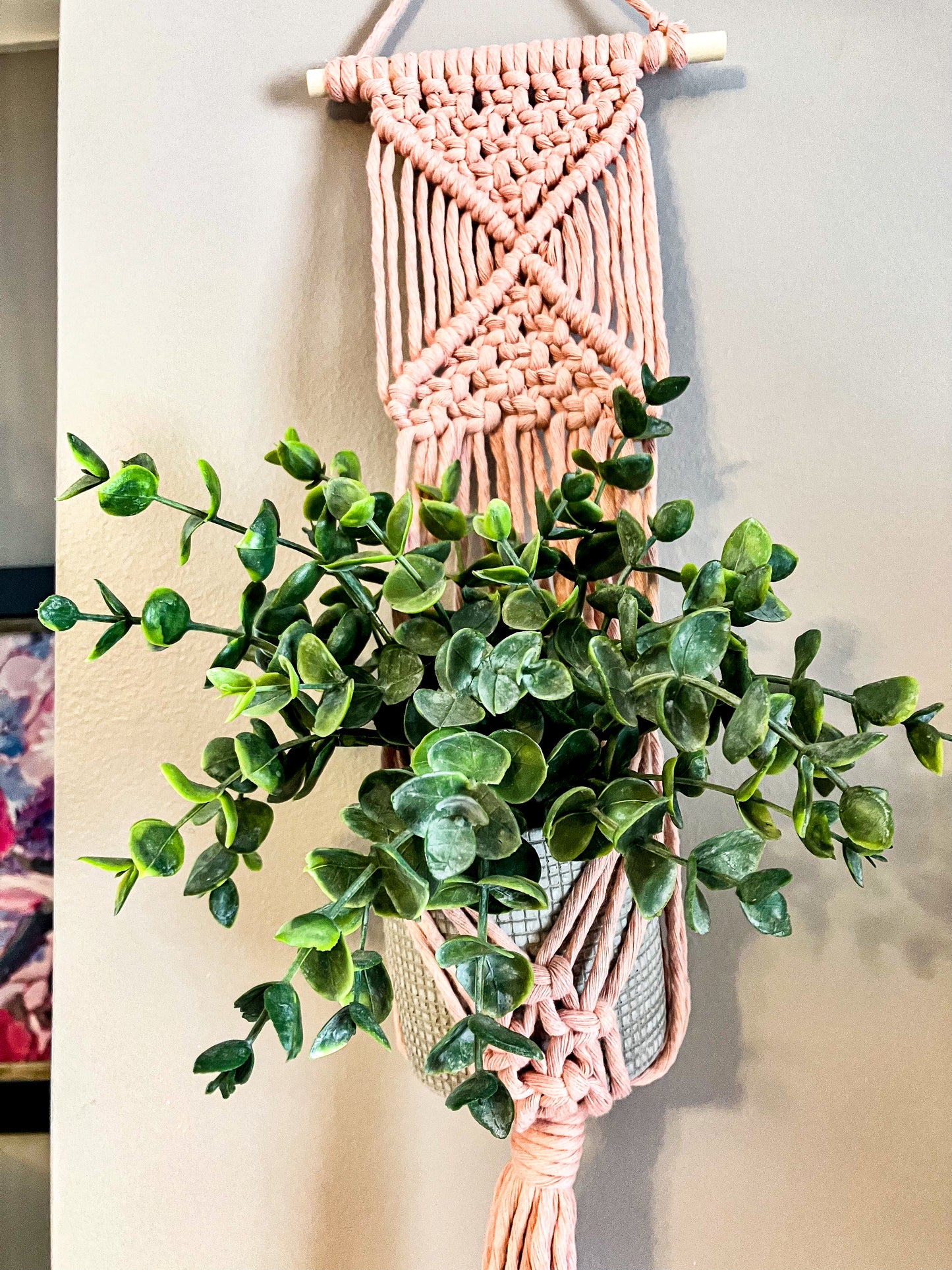Macrame Wall Plant Hanger