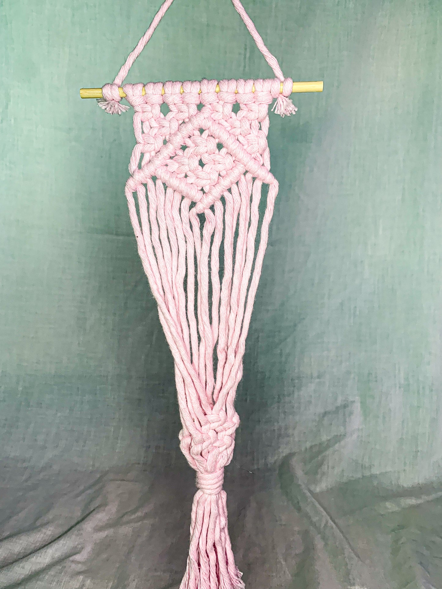 Macrame Air Plant Hanger