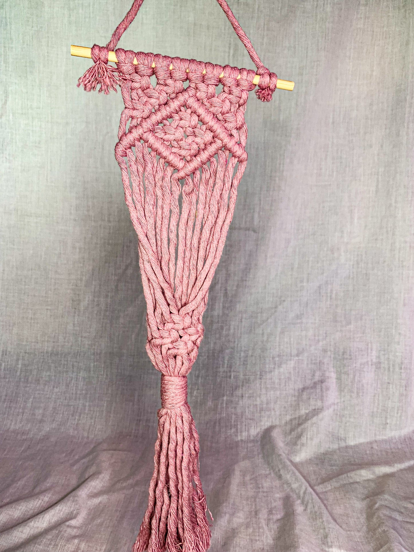 Macrame Air Plant Hanger