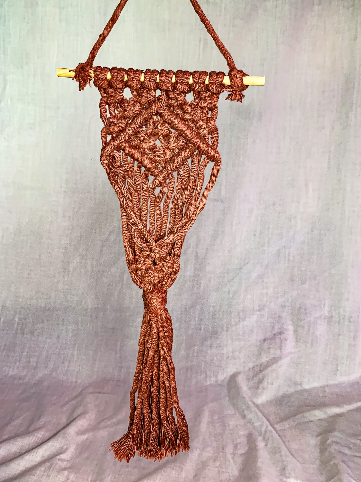 Macrame Air Plant Hanger