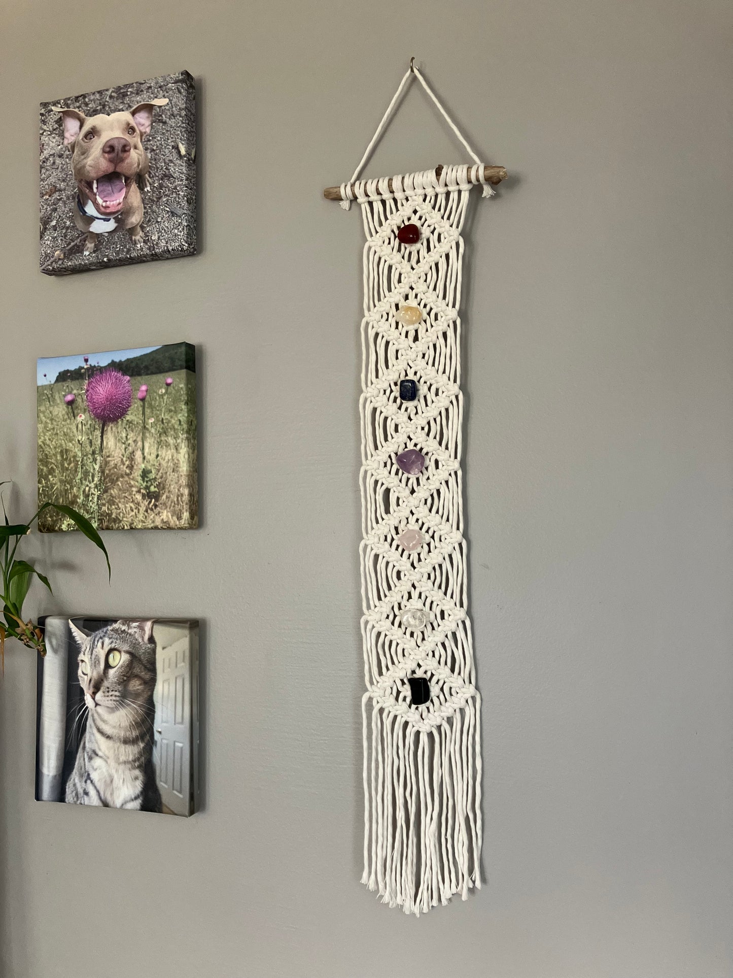 Elevate & Energize: Chakra Macrame Wall Hanging Class