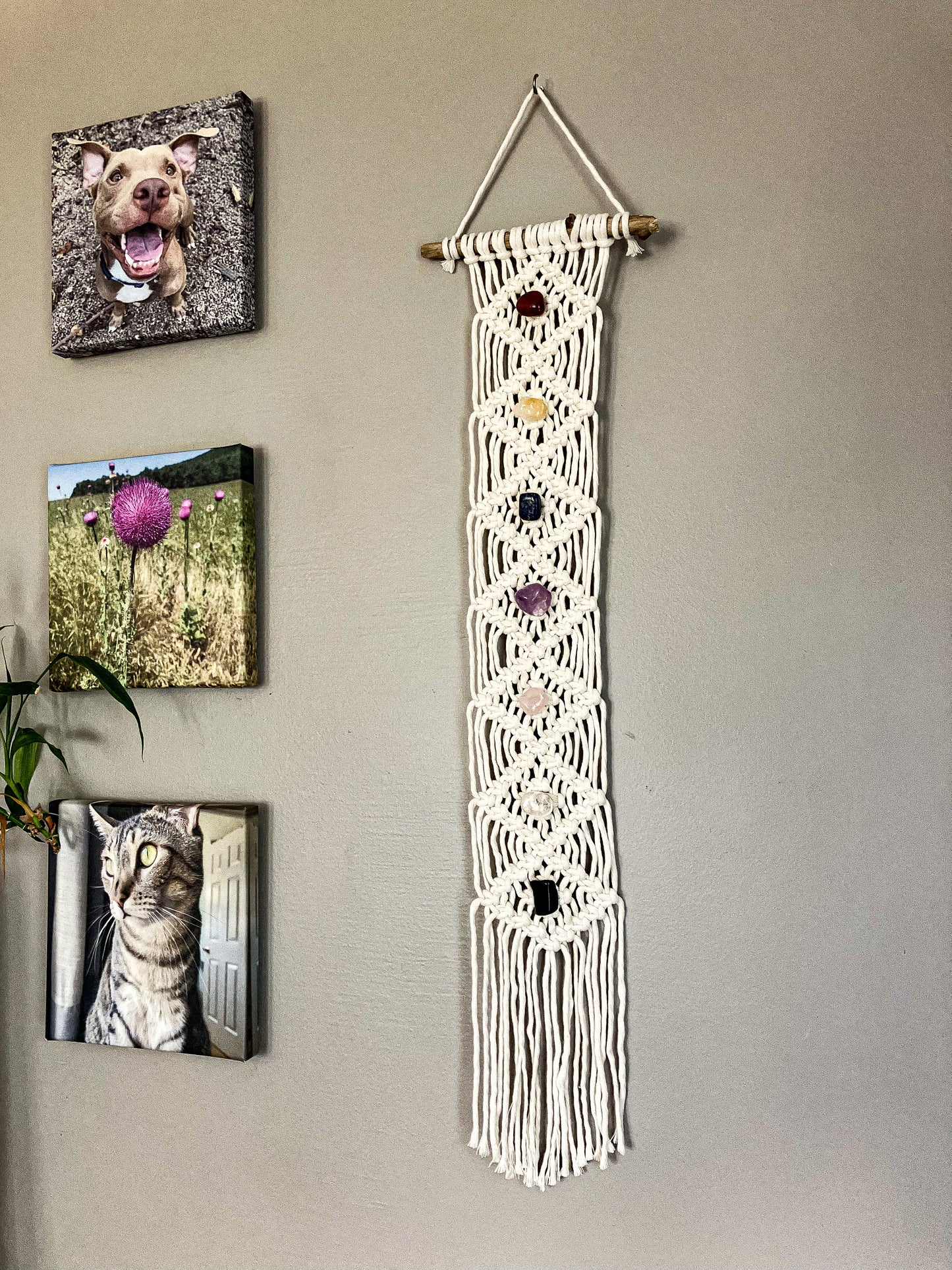 Elevate & Energize: Chakra Macrame Wall Hanging Class