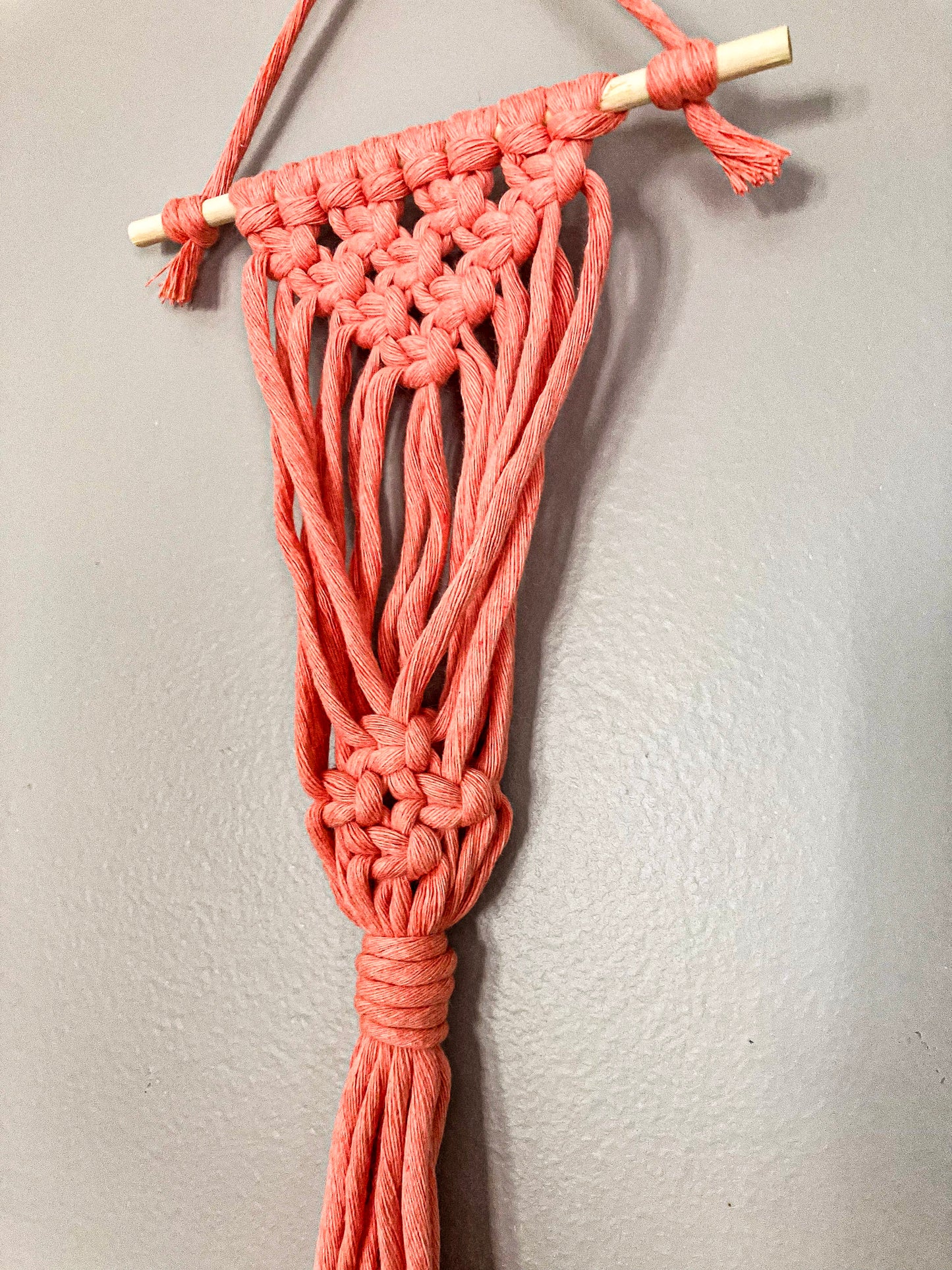Blind Date Plant Hangers