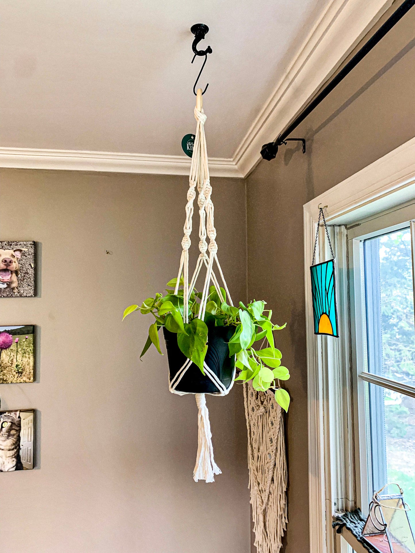 Blind Date Plant Hangers