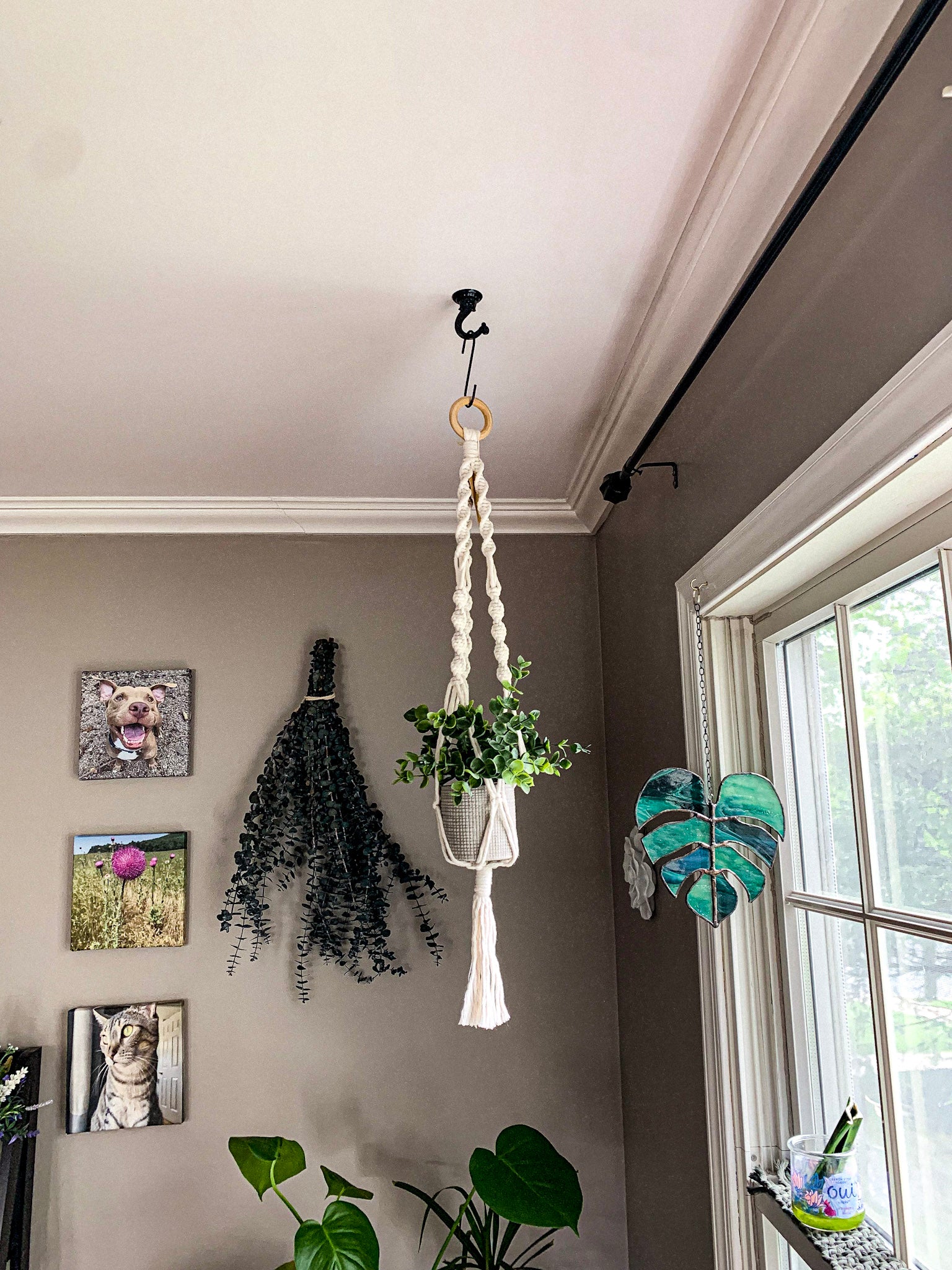 Nook Theory Macrame Plant Hanger - 2 Ceiling Hooks - Hanging