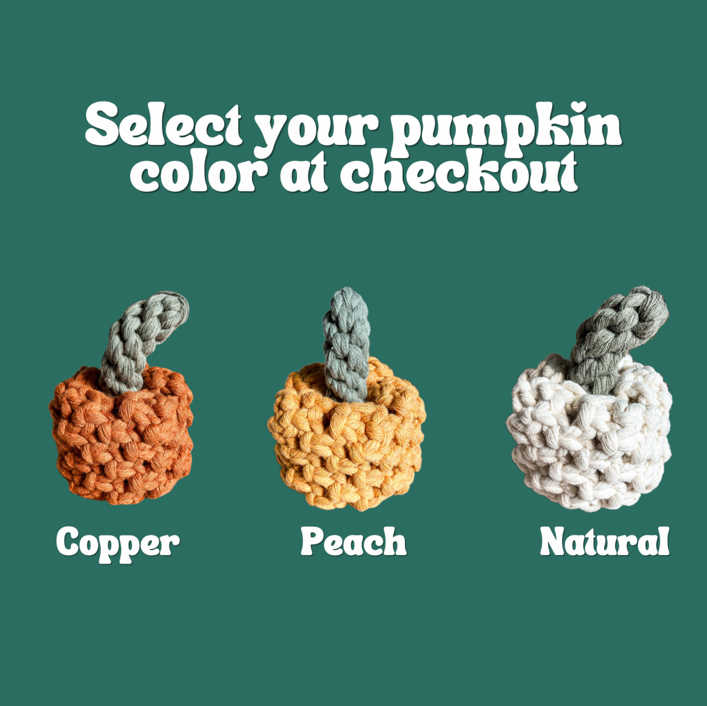 DIY Macrame Pumpkin Class at The Pour House on Derry