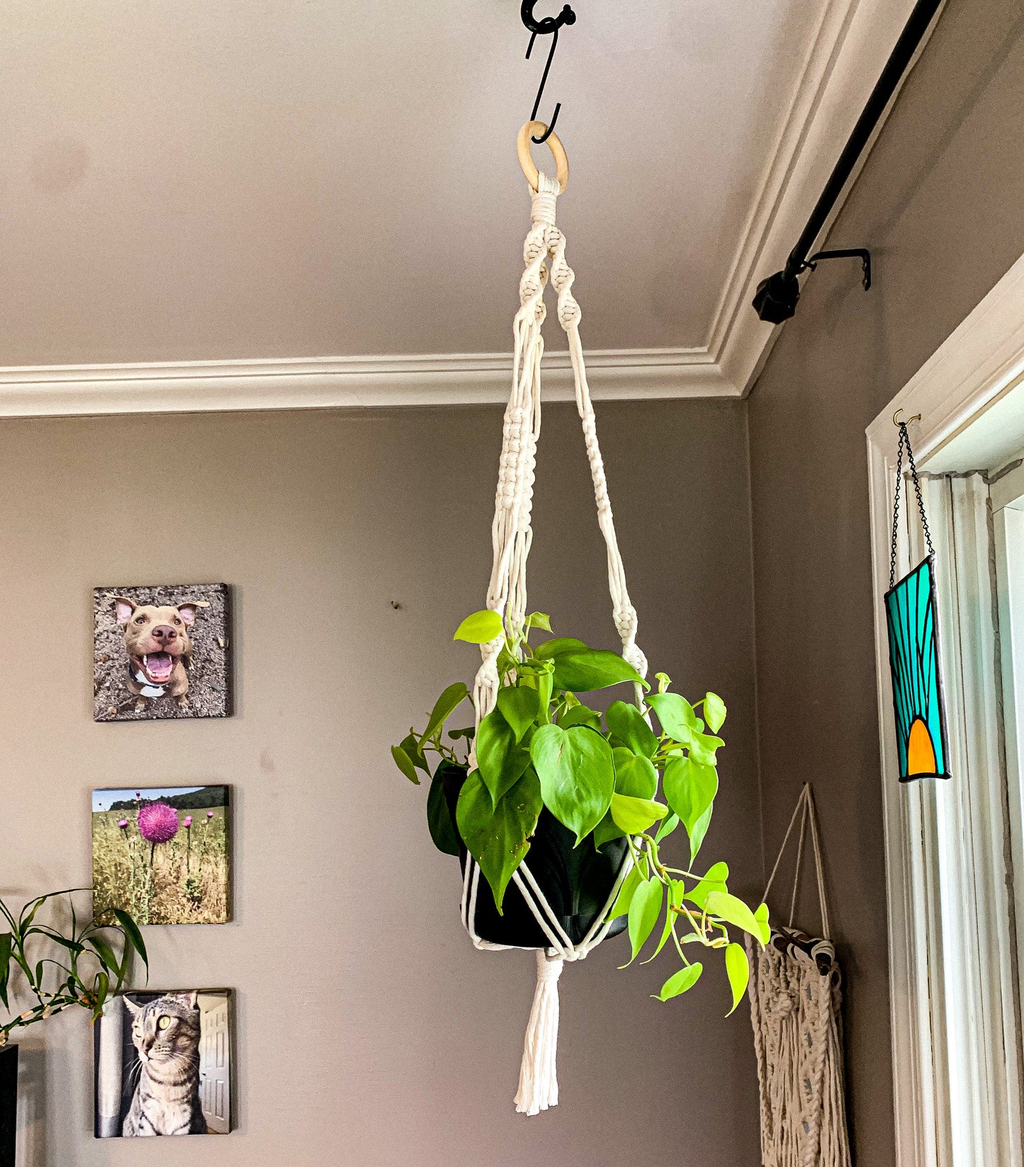 Macrame Plant Hanger - Shan