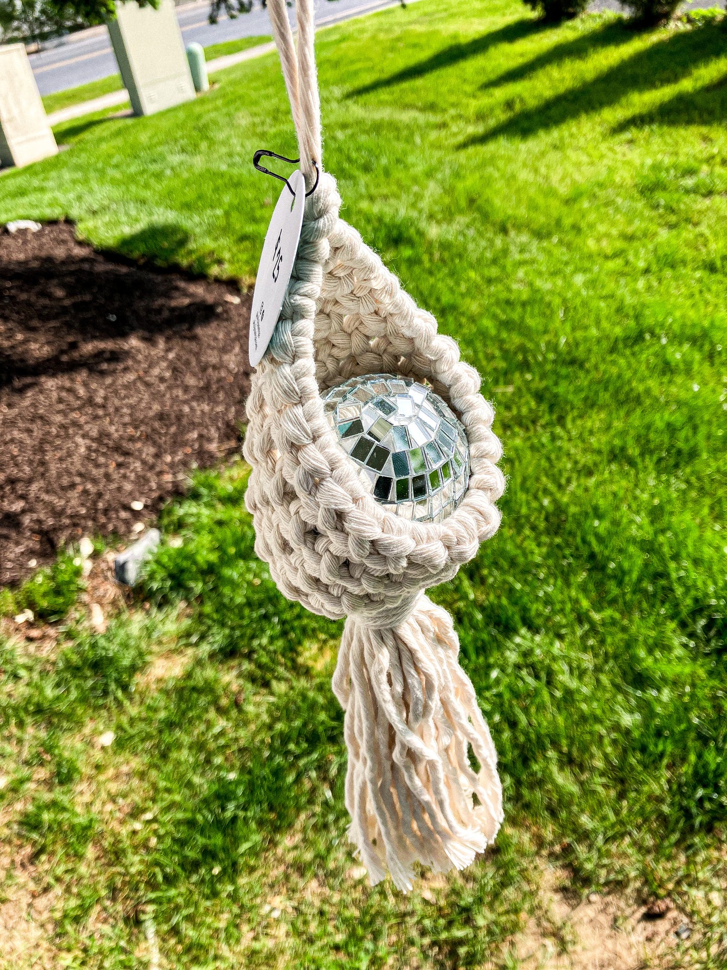 Air Plant Hanger Pod