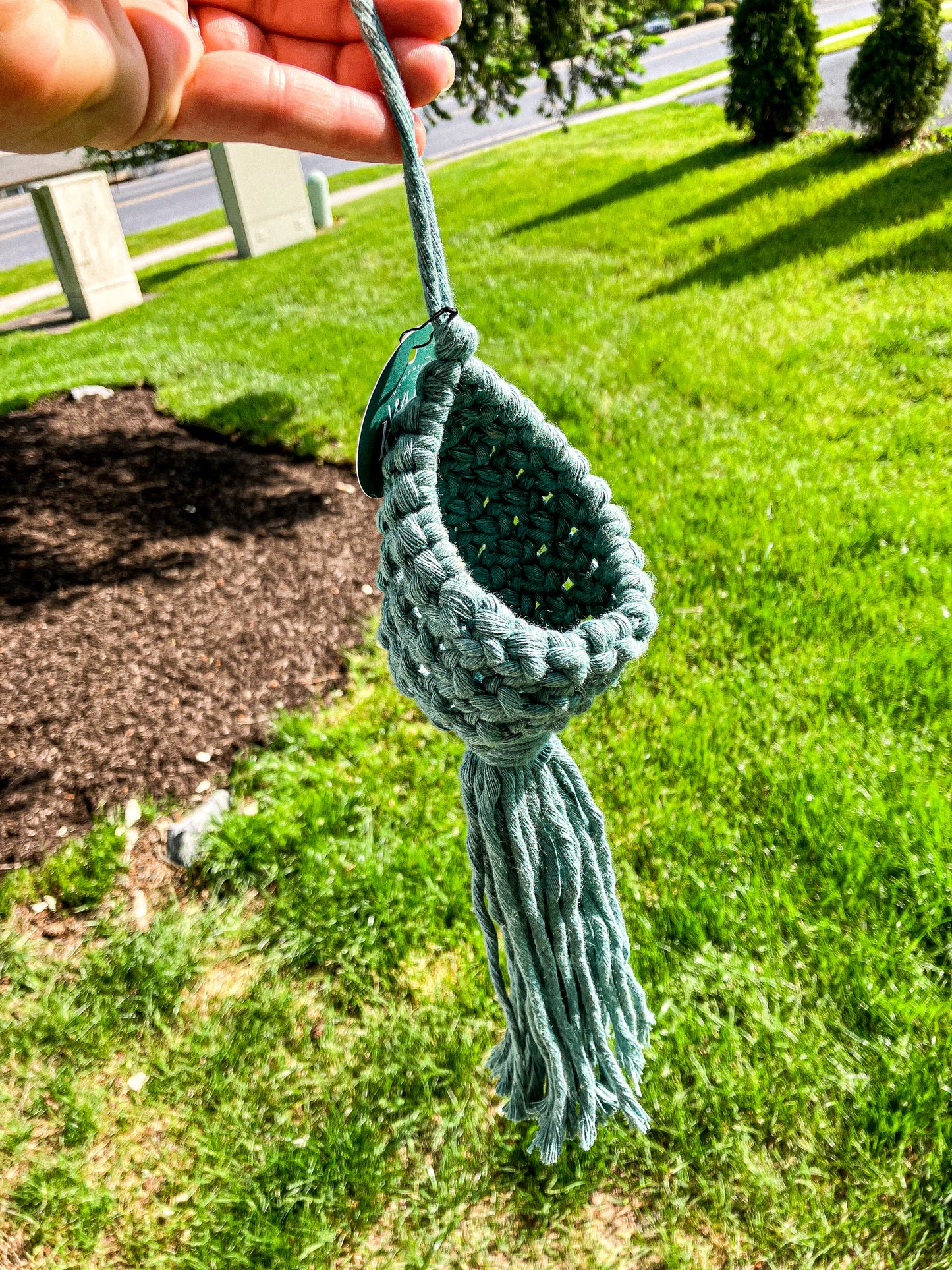 Air Plant Hanger Pod