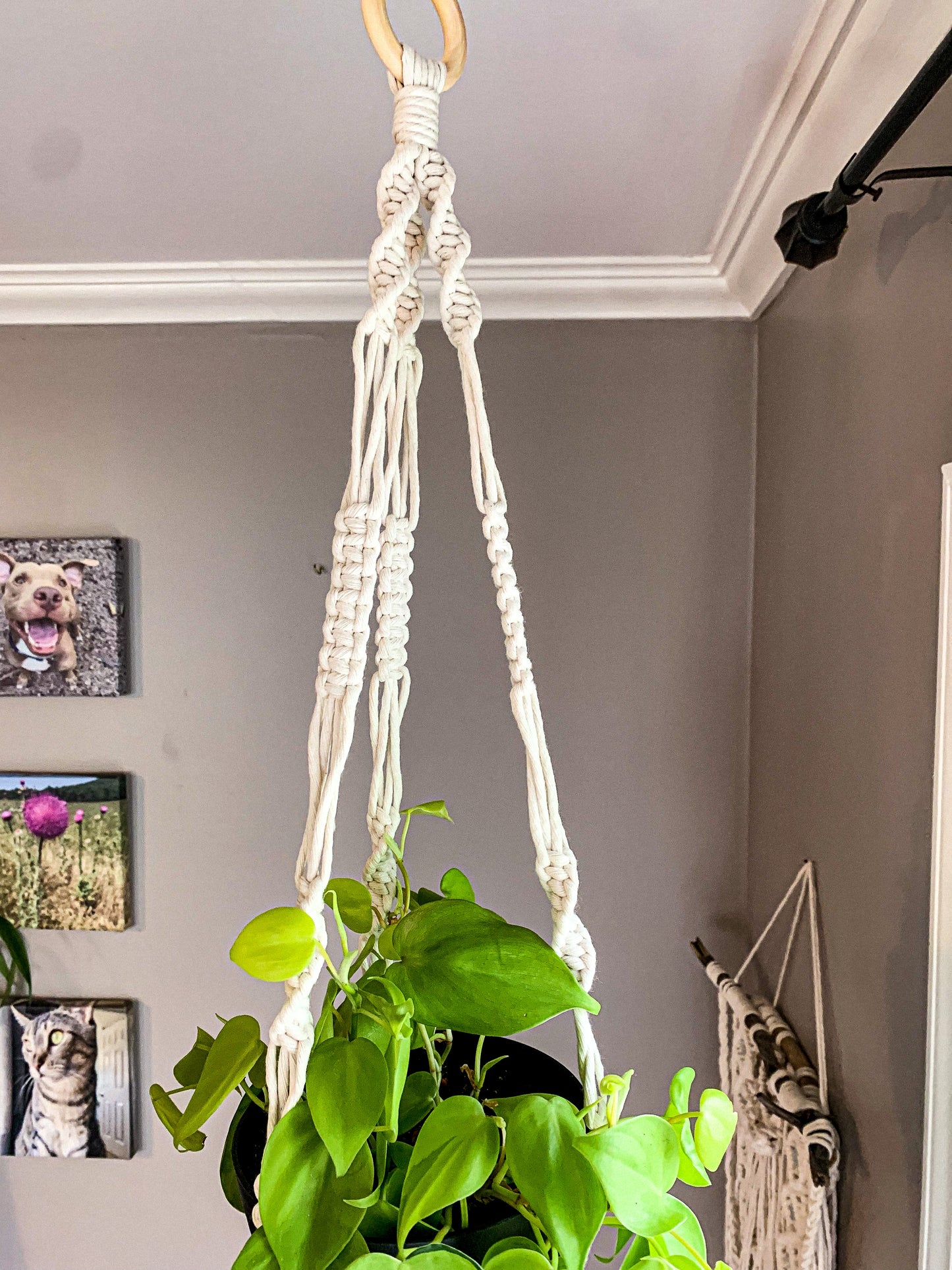 Macrame Plant Hanger - Shan