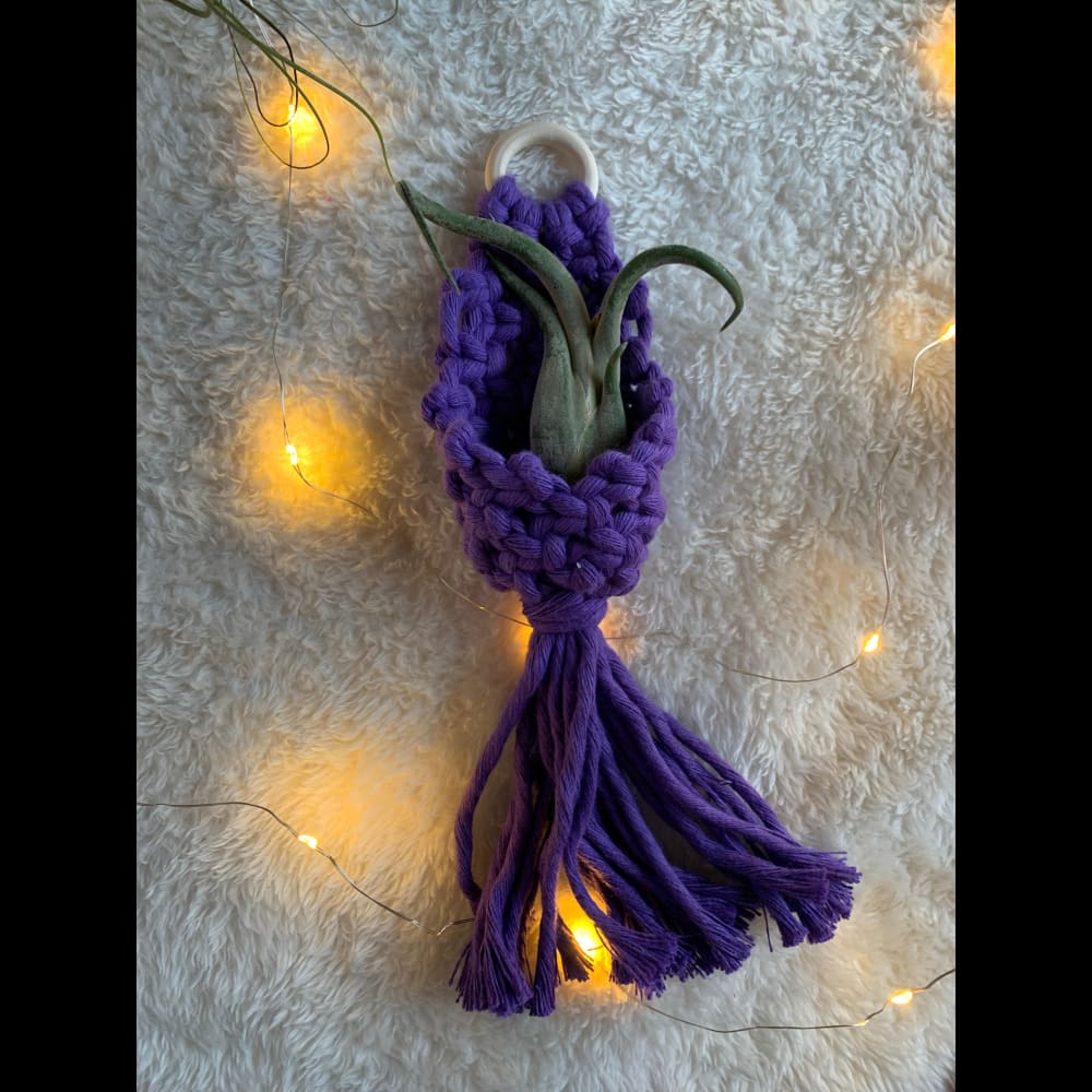 Macrame Air Plant Hanger