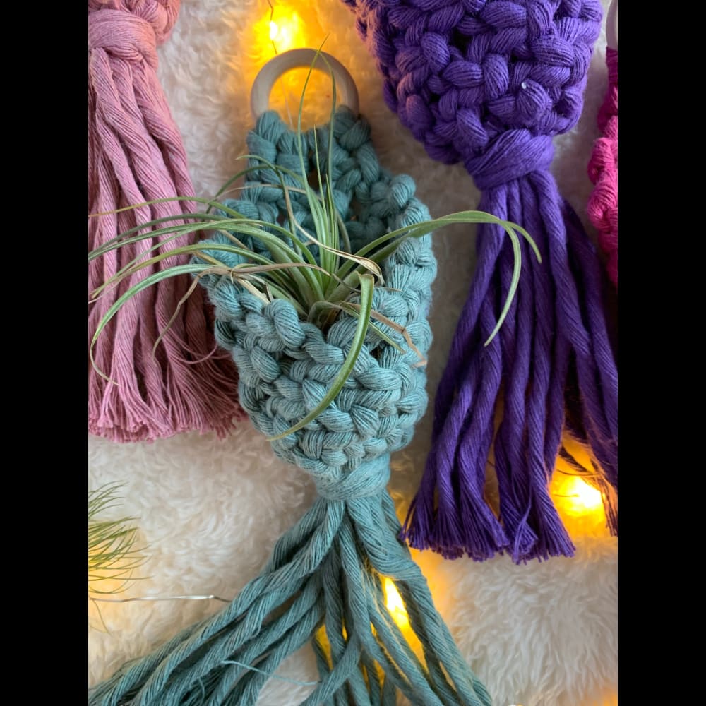 Macrame Air Plant Hanger