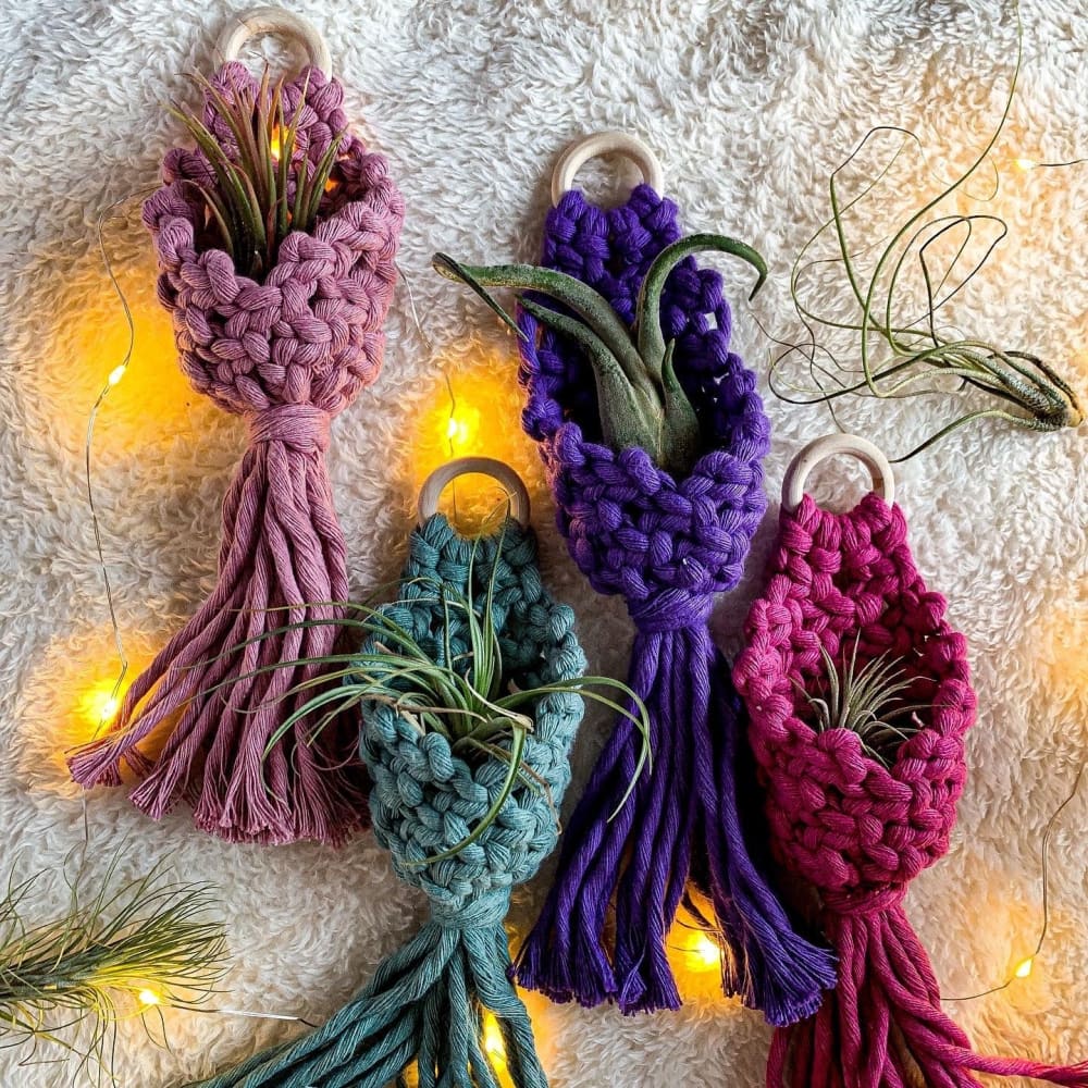 Macrame Air Plant Hanger