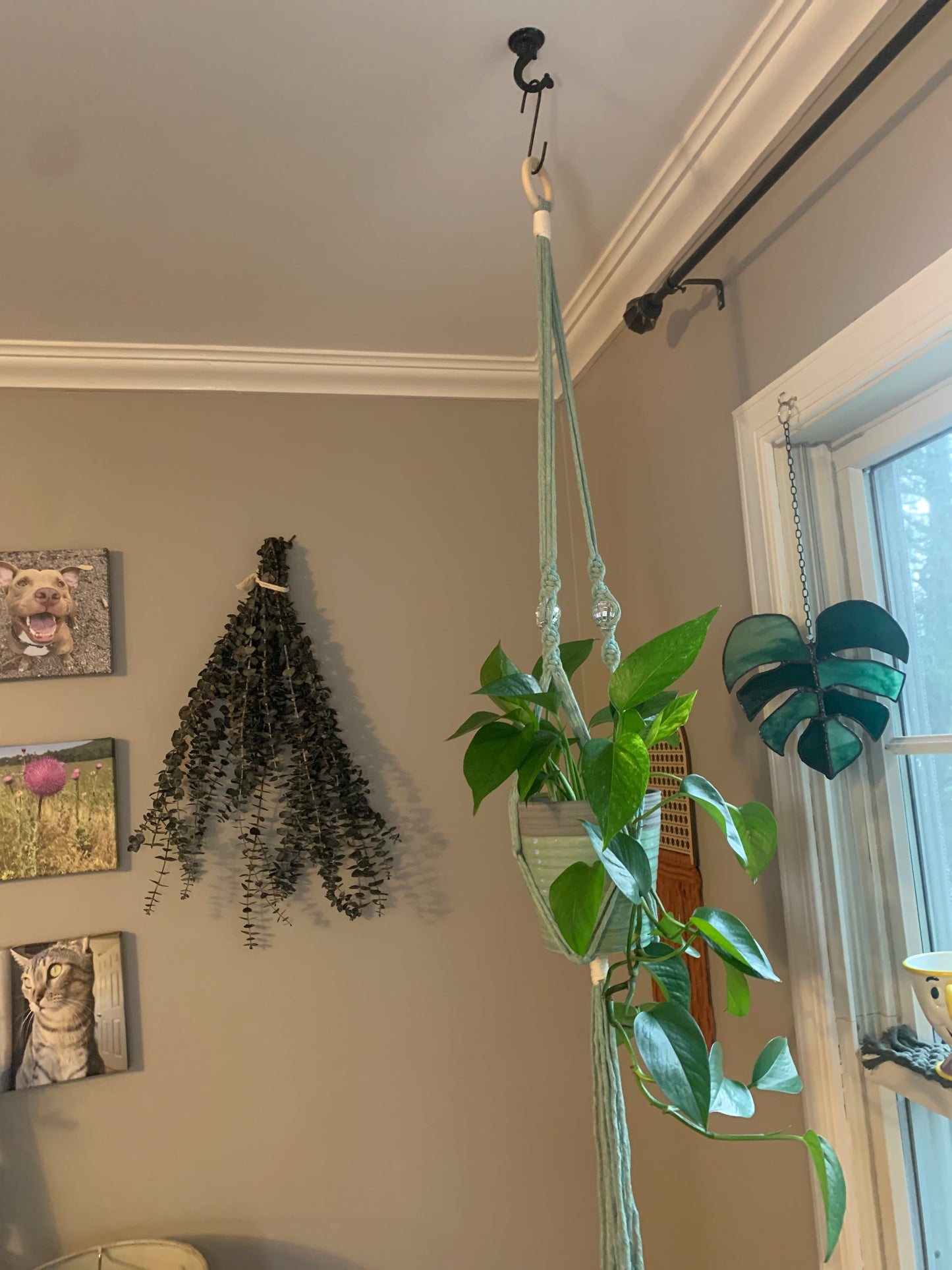 Macrame Hanging Plant Holder with Discoballs