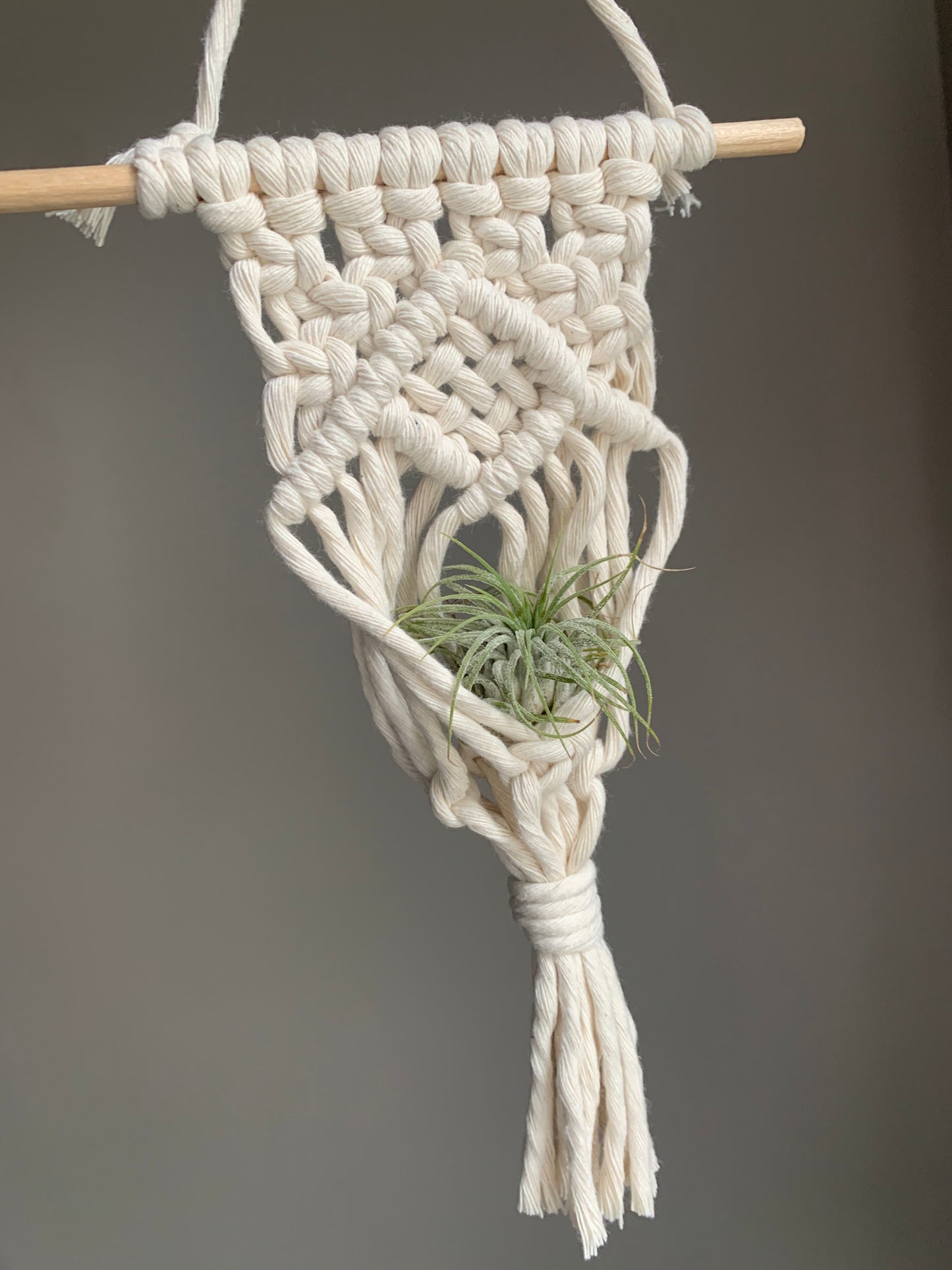 Macrame Air Plant Hanger with Weave Center
