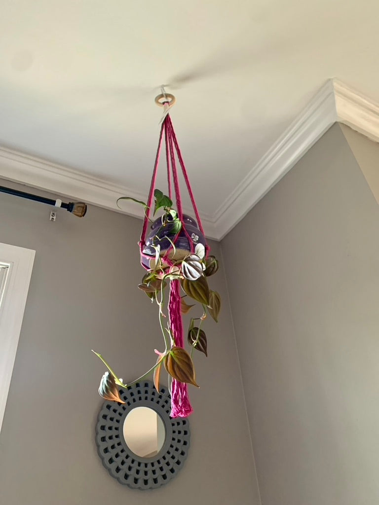 Short & Simple Macrame Plant Hanger - Shan