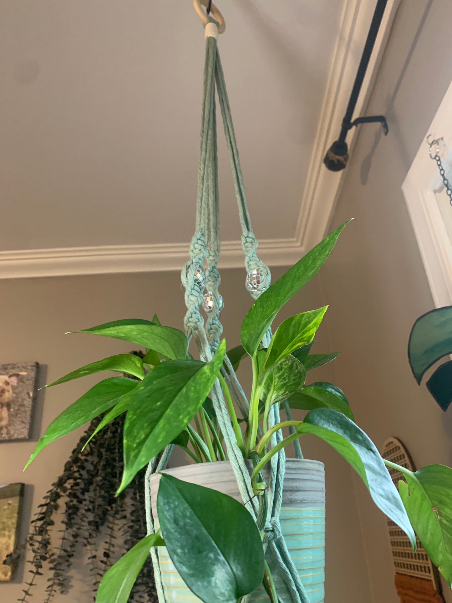 Macrame Hanging Plant Holder with Discoballs