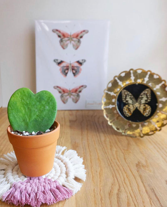 Two-Tone Round Macrame Coasters