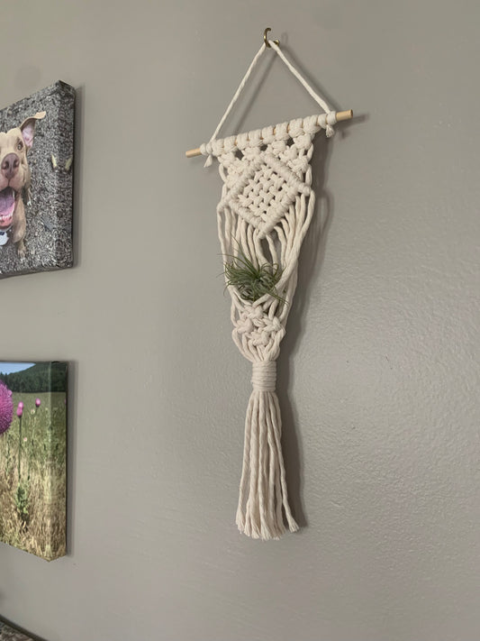 Macrame Air Plant Hanger with Weave Center