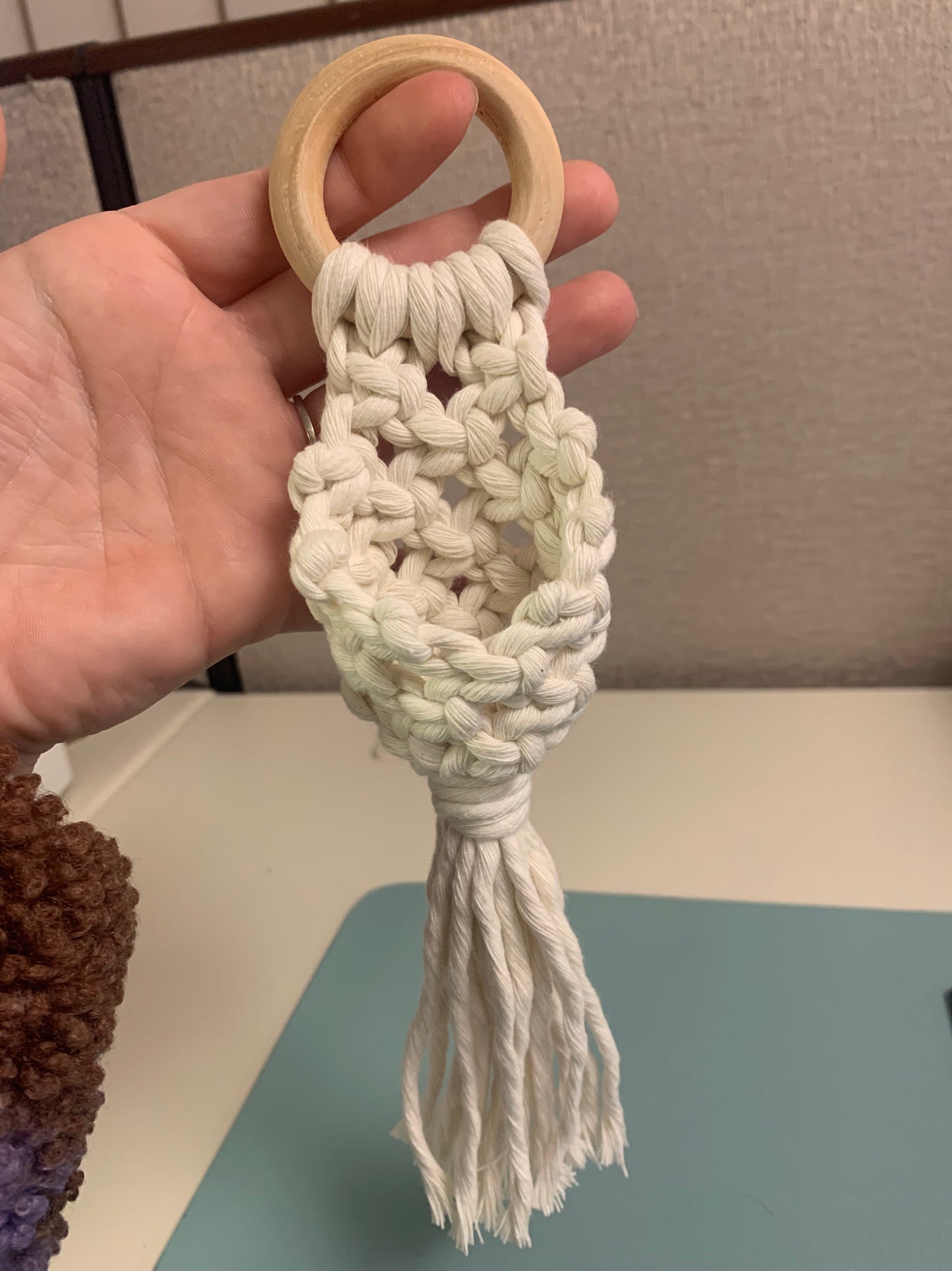 Air Plant Hanger Pod