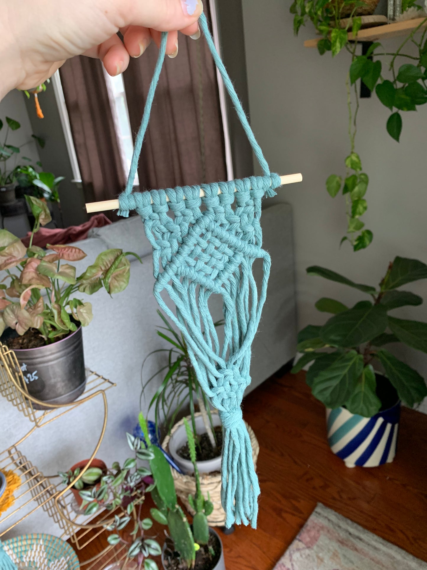 Macrame Air Plant Hanger with Weave Center