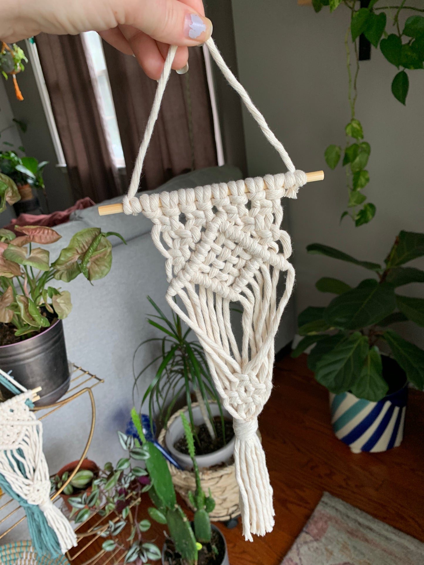 Macrame Air Plant Hanger with Weave Center