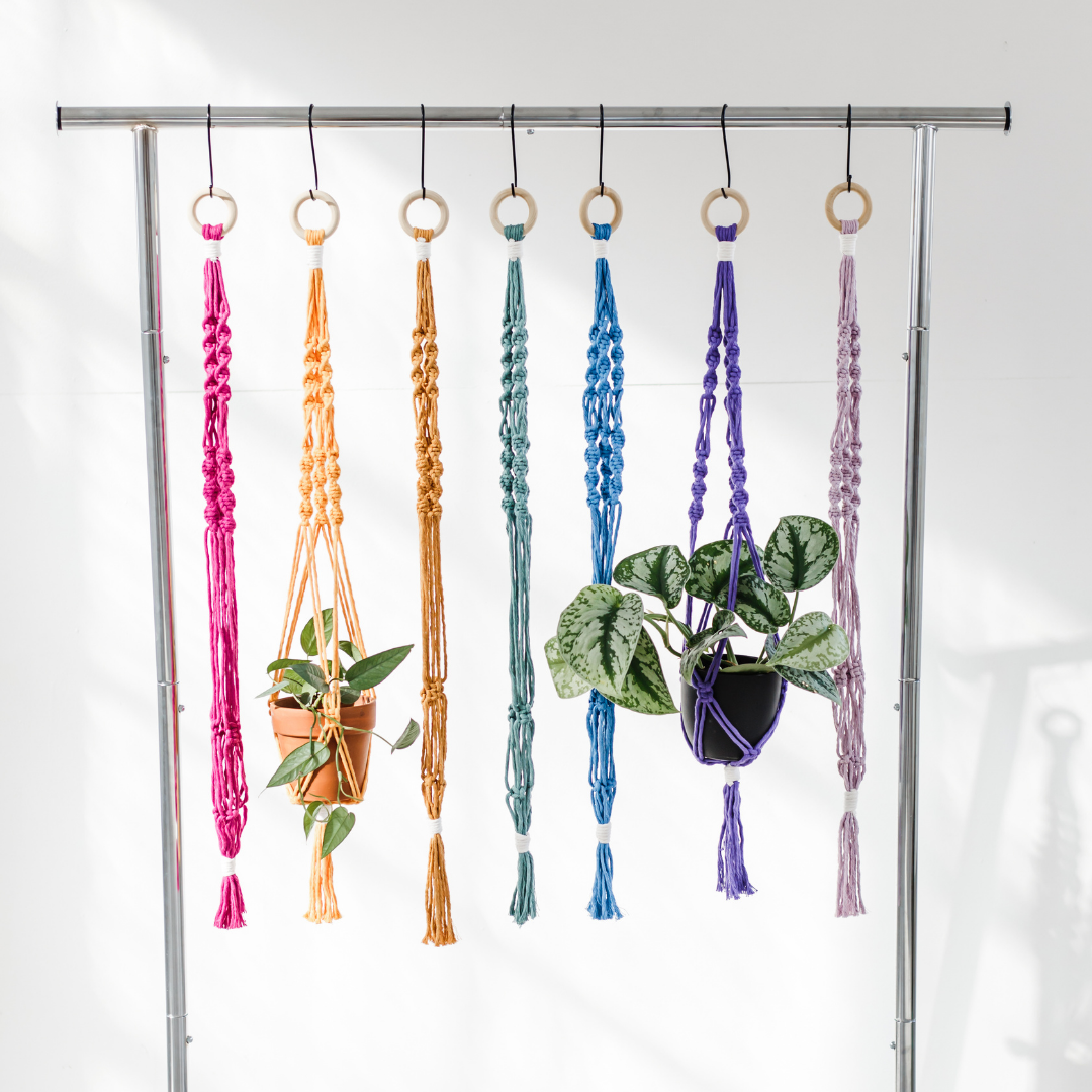 colorful macrame plant hanger Why Knot PA