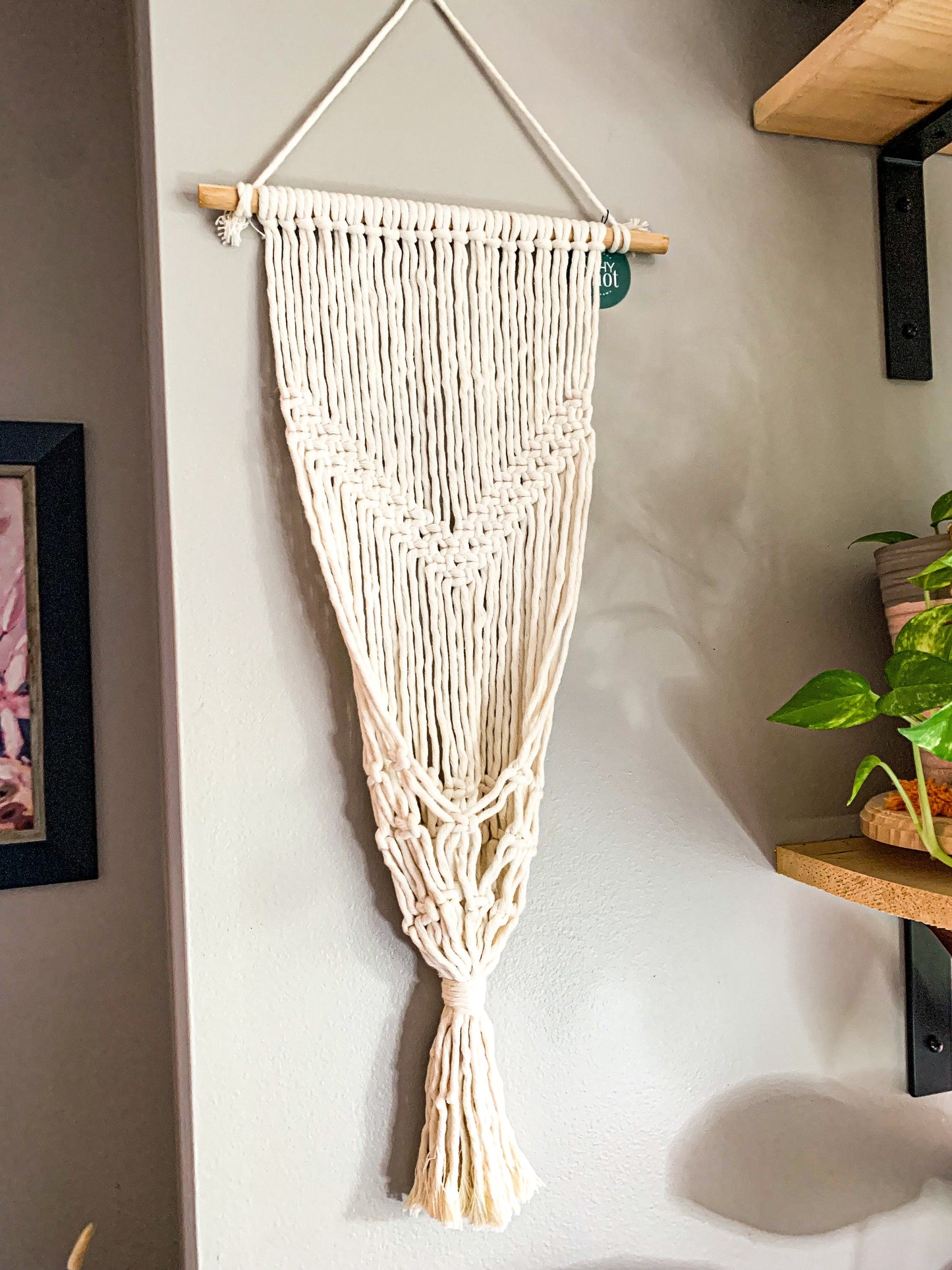 Plant Hanger for Wall