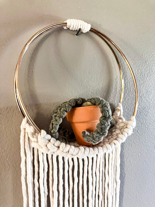 Air Plant Hanger | Two Colors Available